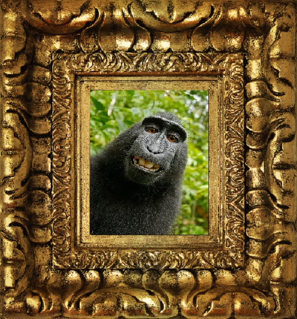 Mona Risa final.jpg