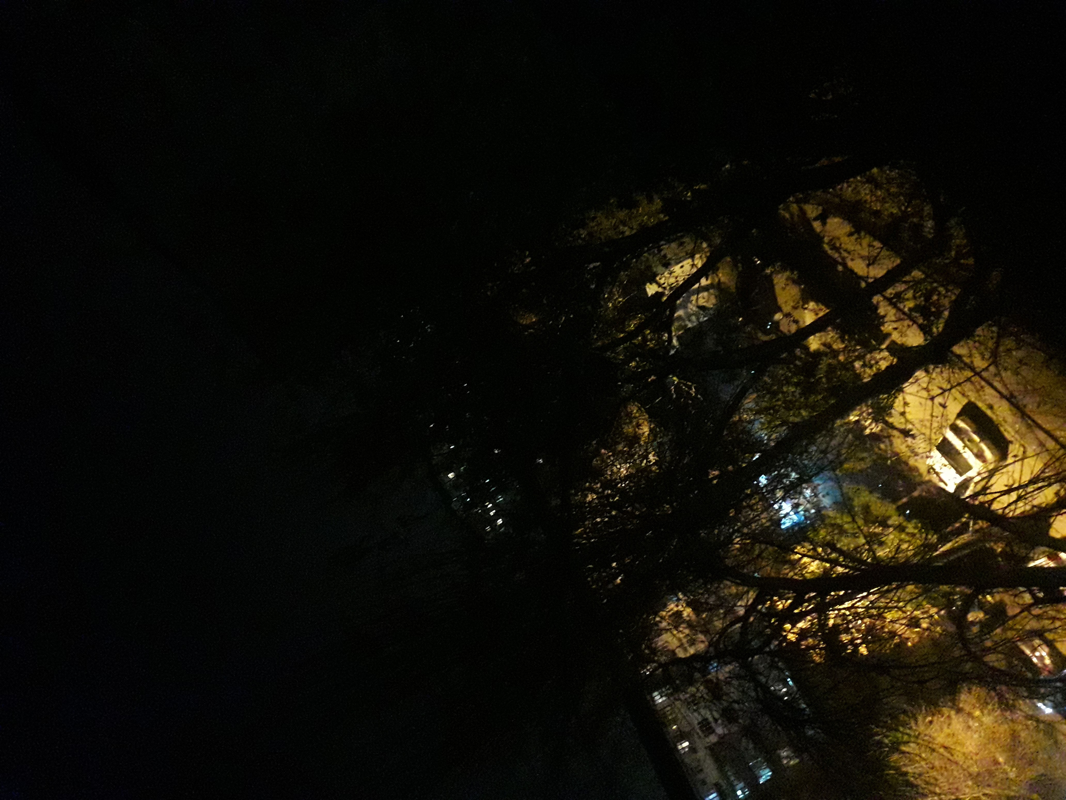 20211129_191058.jpg