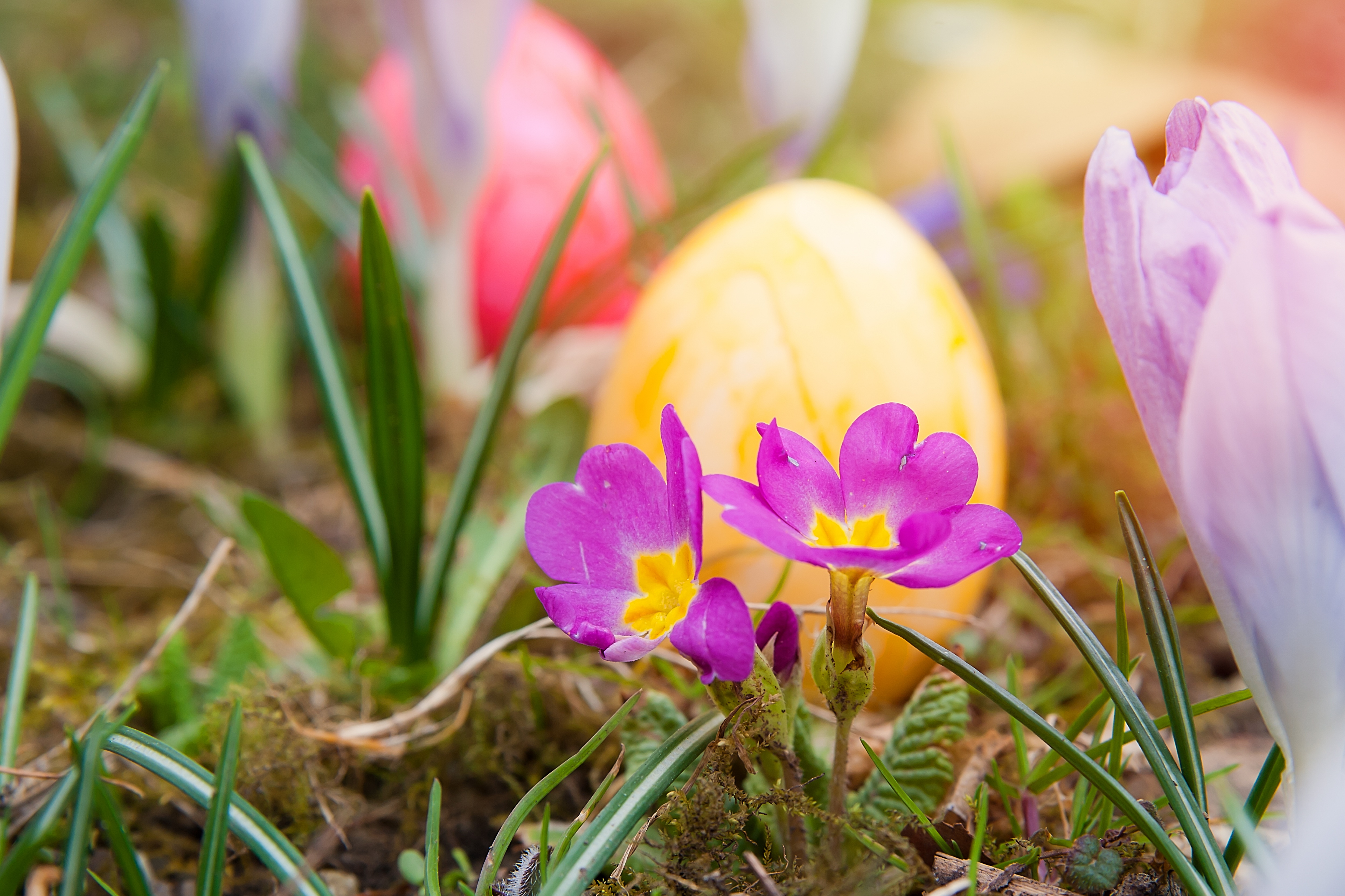 easter-674212.jpg