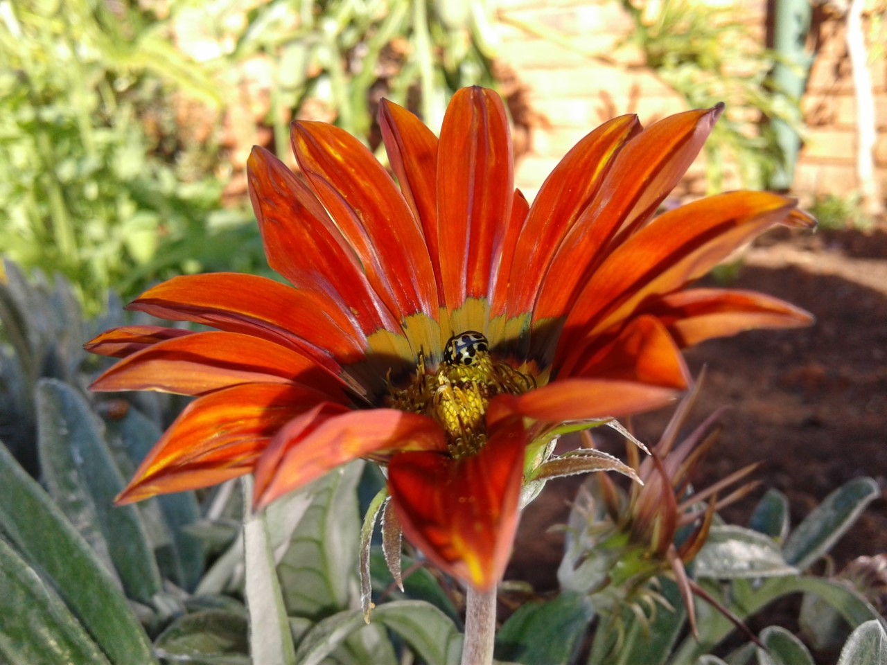 thumbnail_20180716_145109.jpg