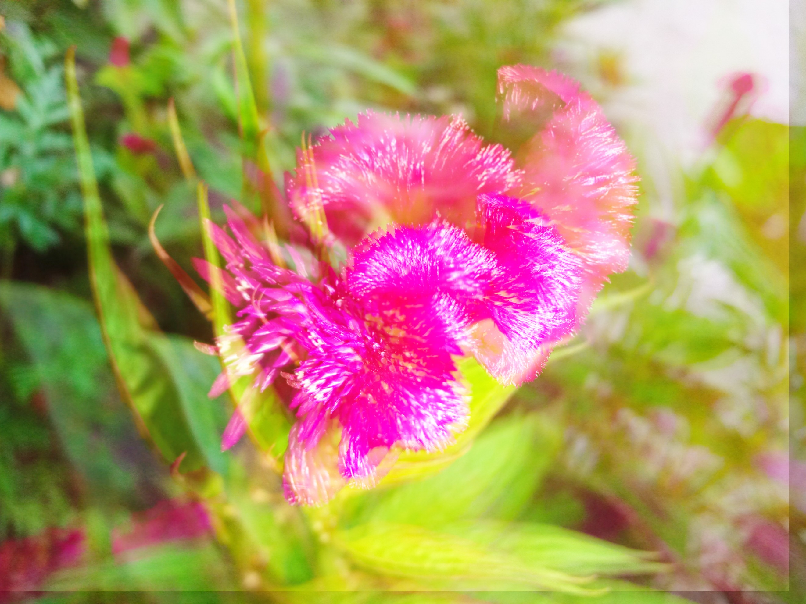 PicsArt_01-14-08.36.26.jpg