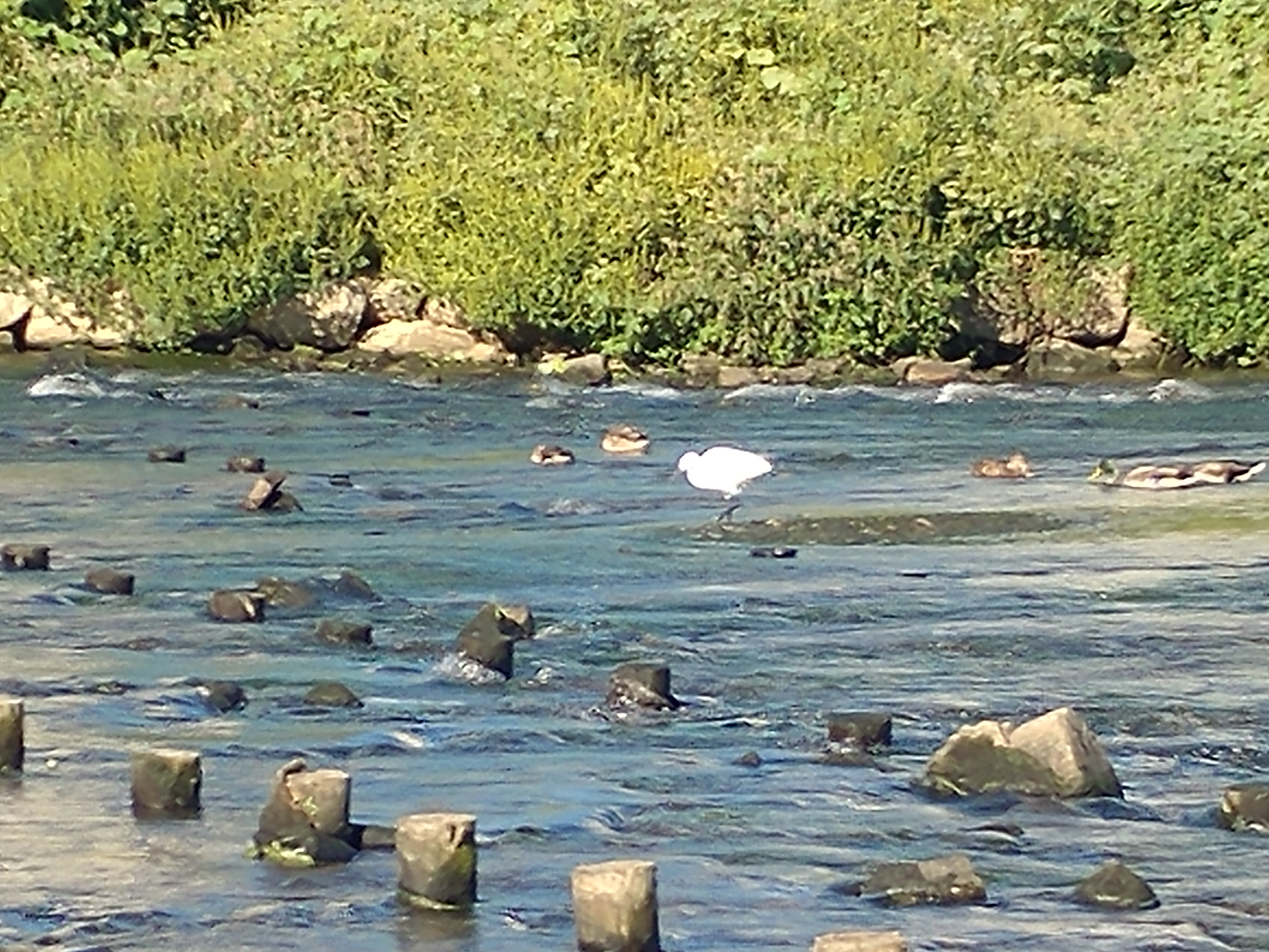 20170929_084729.jpg