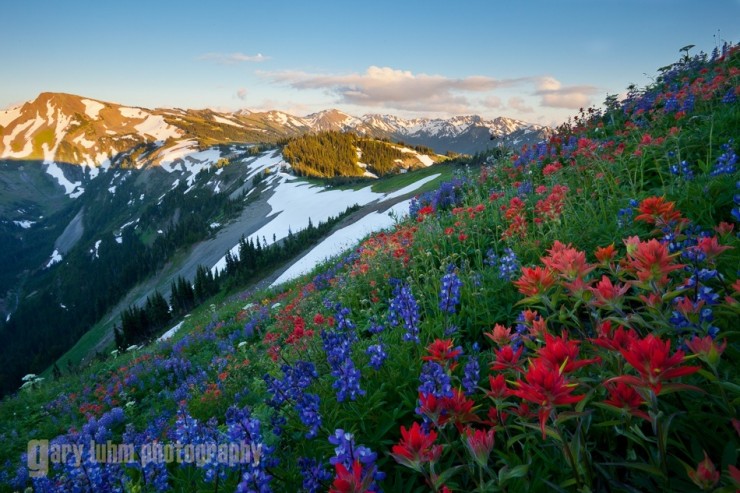 Olympic-Photo-by-Gary-Luhm.jpg