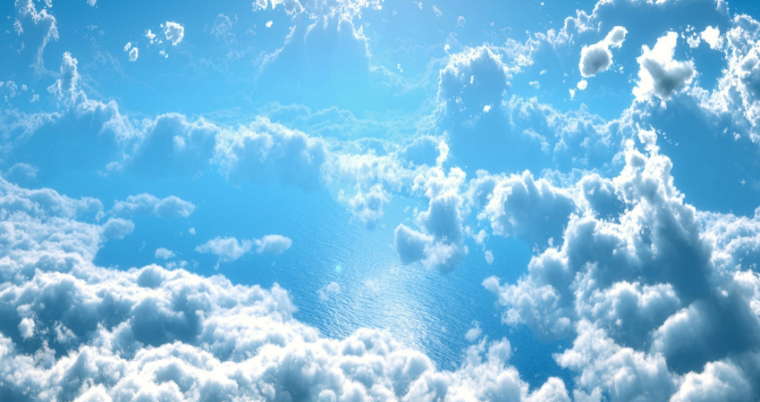 Untitled design - 2019-02-22T130829.477.png