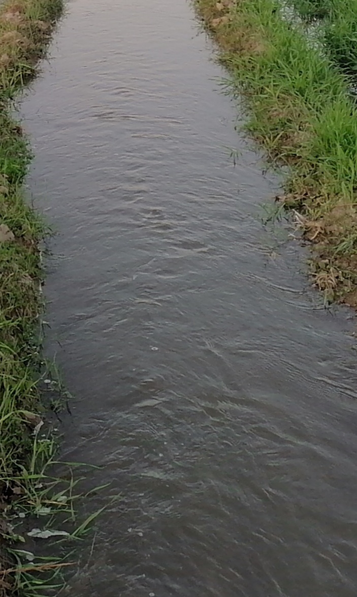 IMG_20210206_155408.jpg