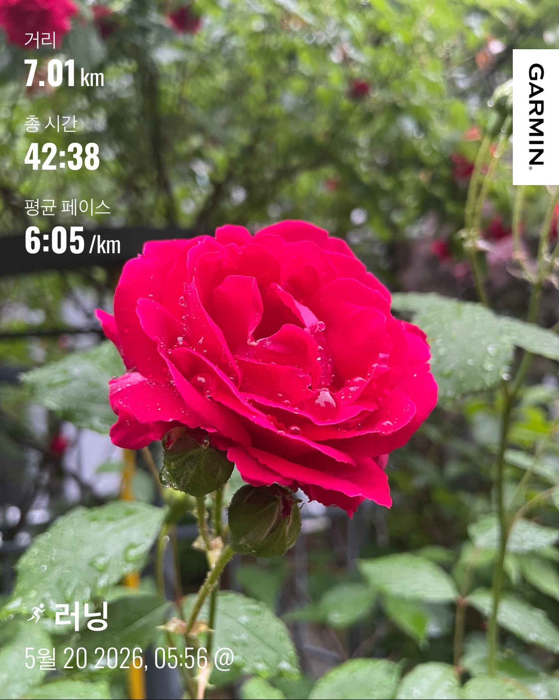 KakaoTalk_20260520_070442781.jpg