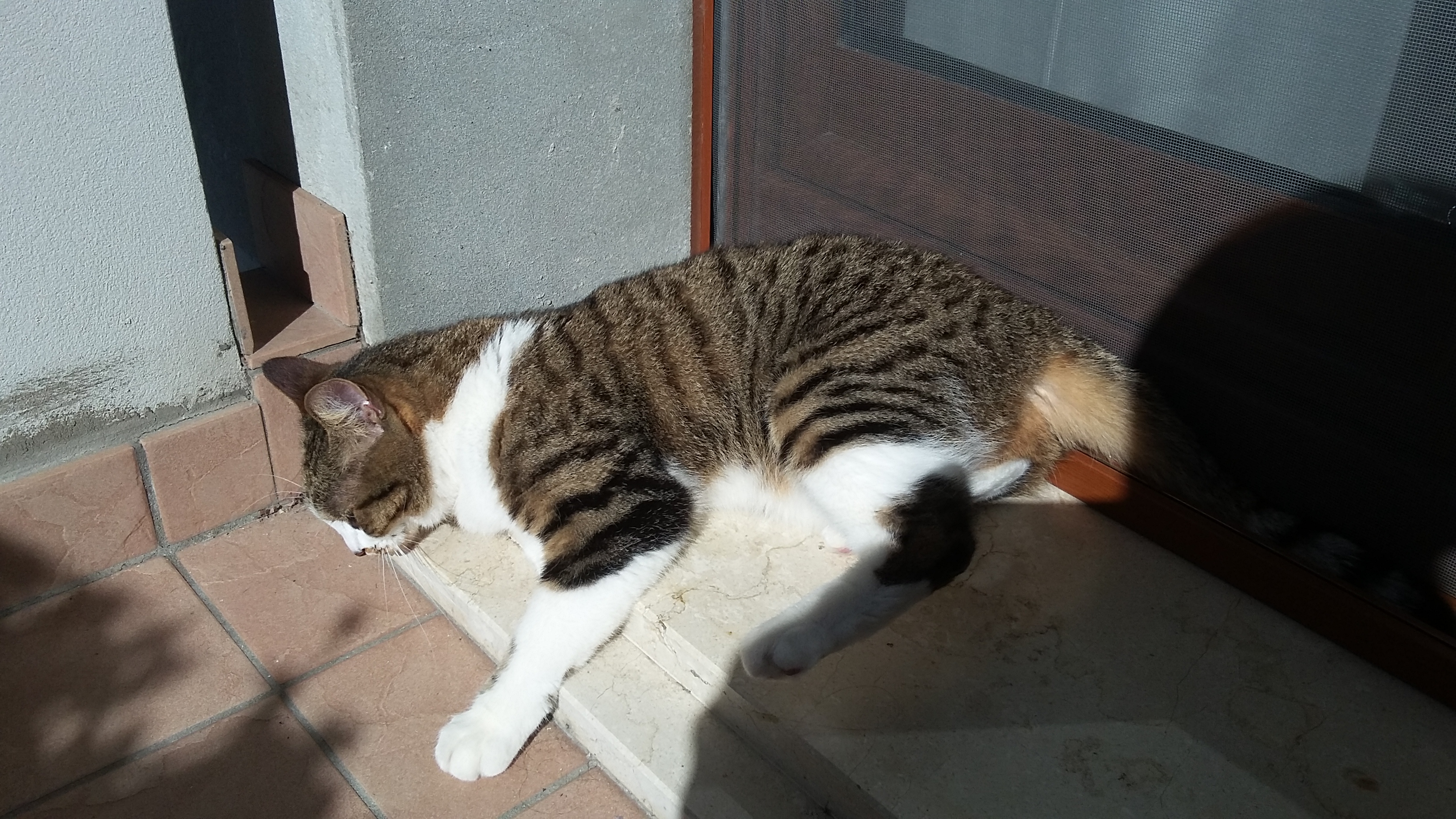 20180309_135629.jpg