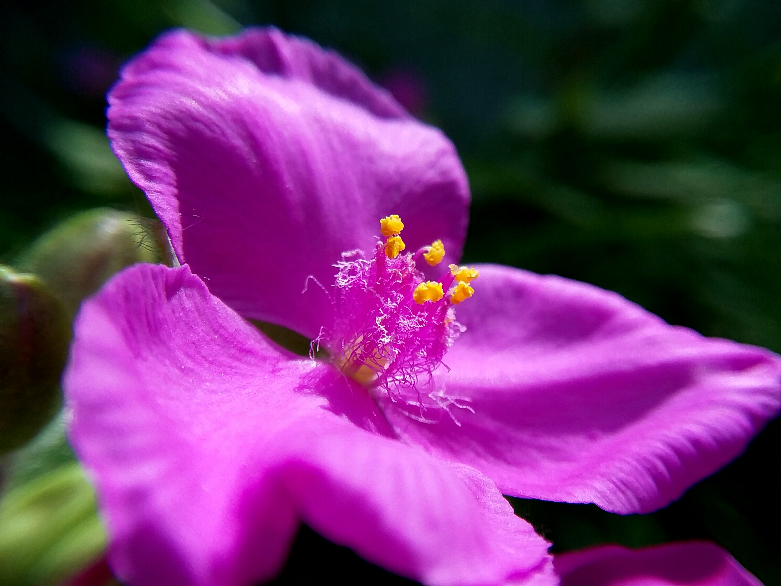 20190625_195942.jpg