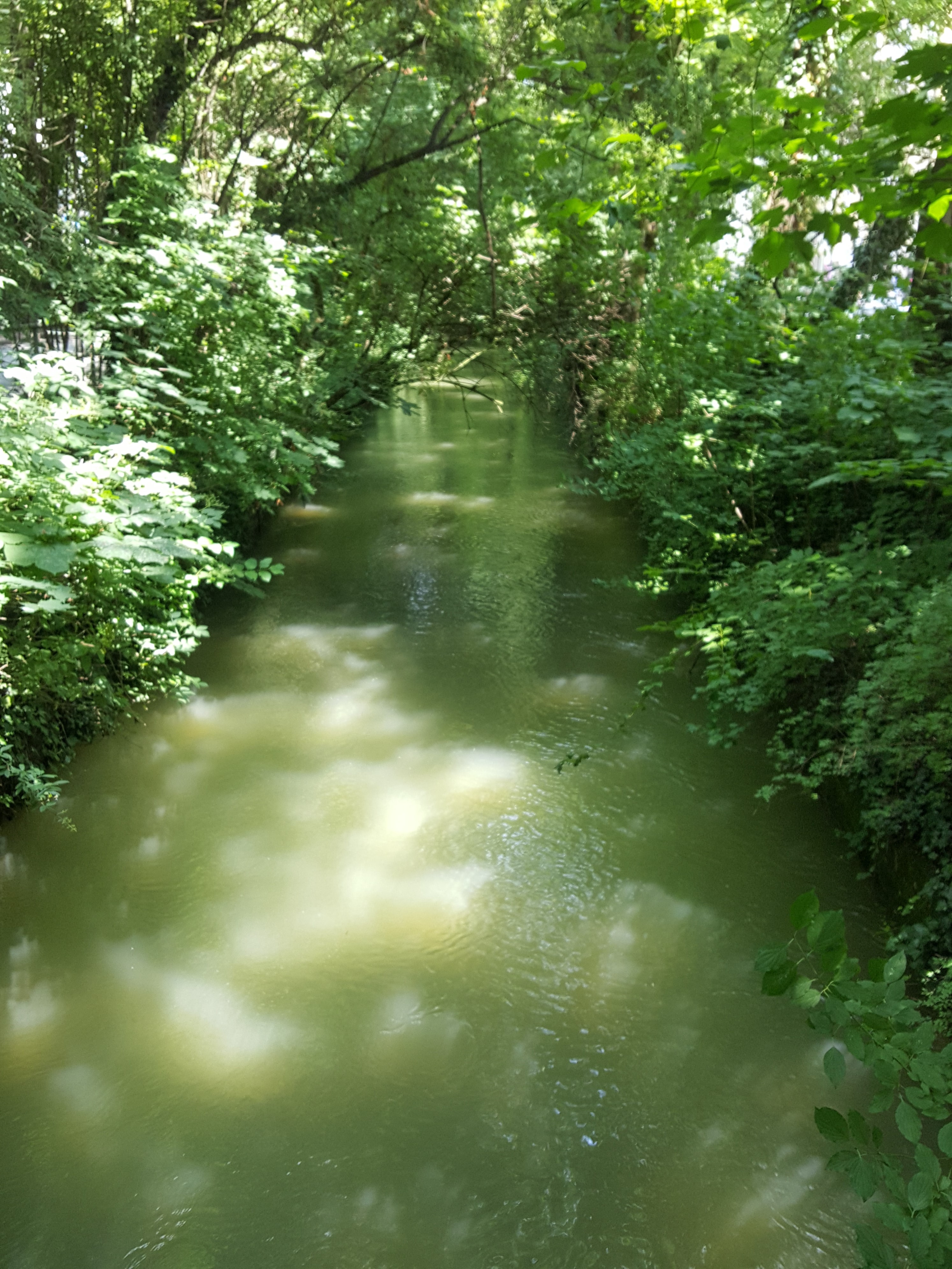 20180630_132019.jpg
