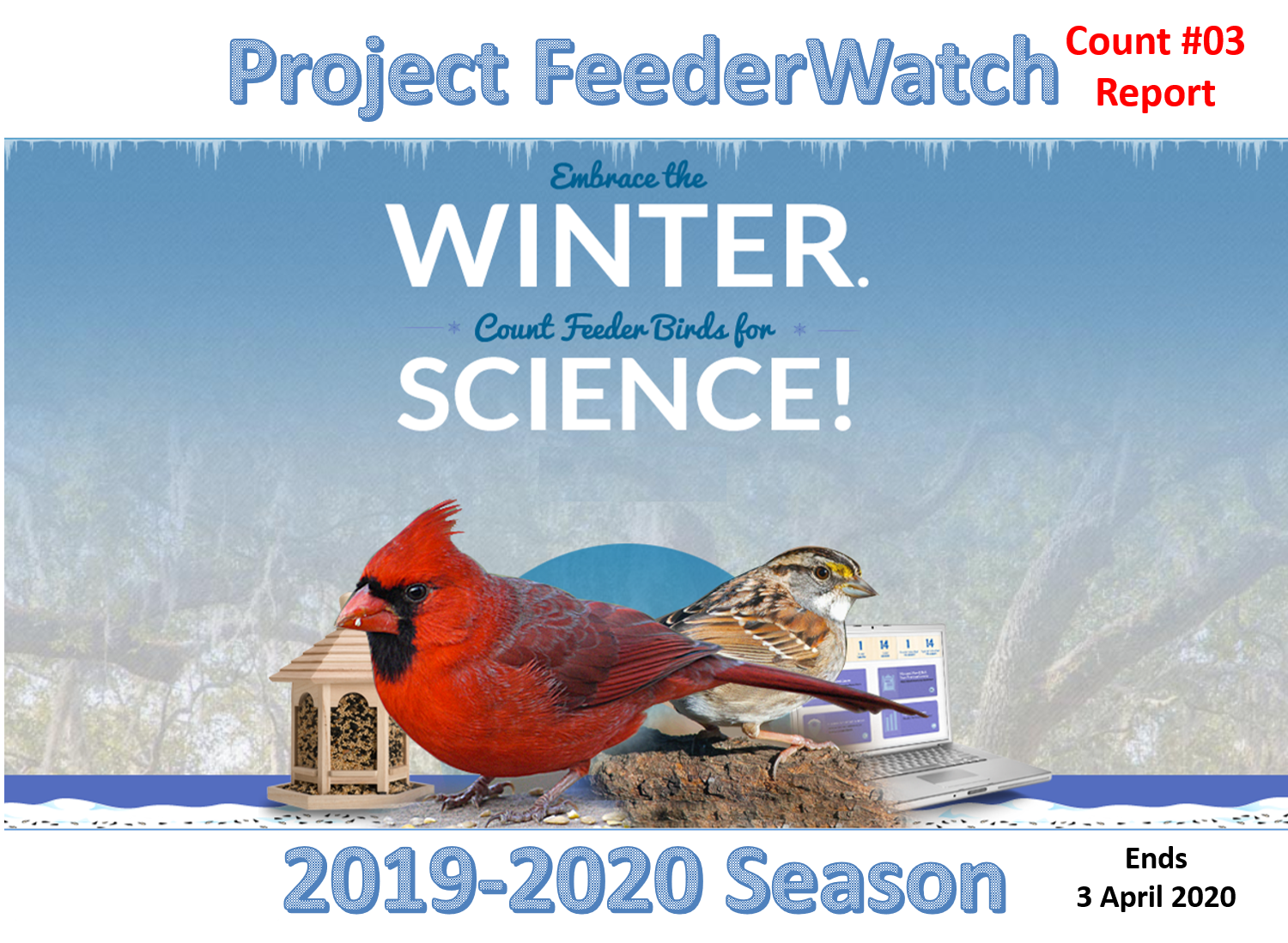Citizen Science Project Feederwatch Count 03 Report 2019 2020
