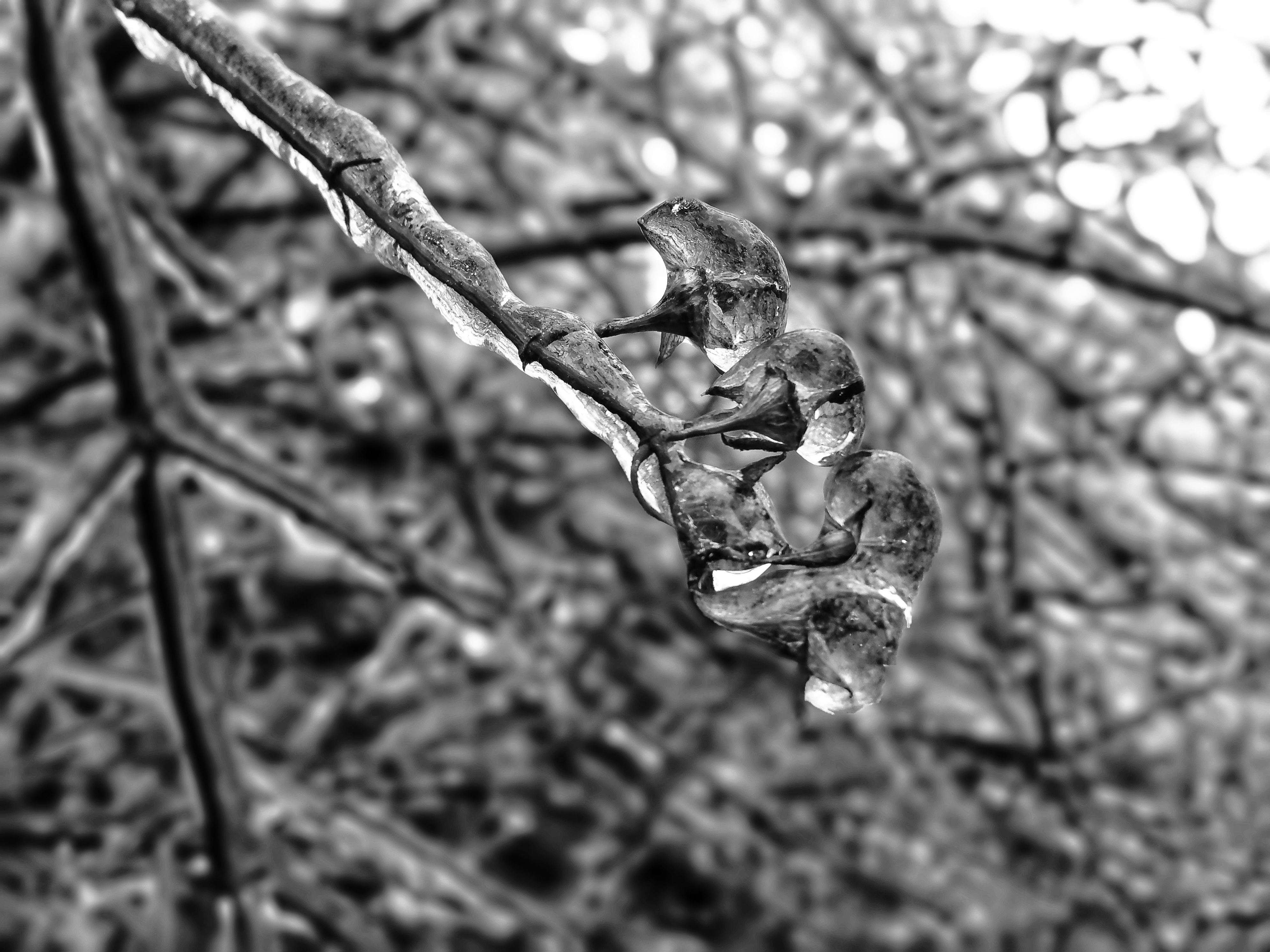 20190126_130452-01.jpeg