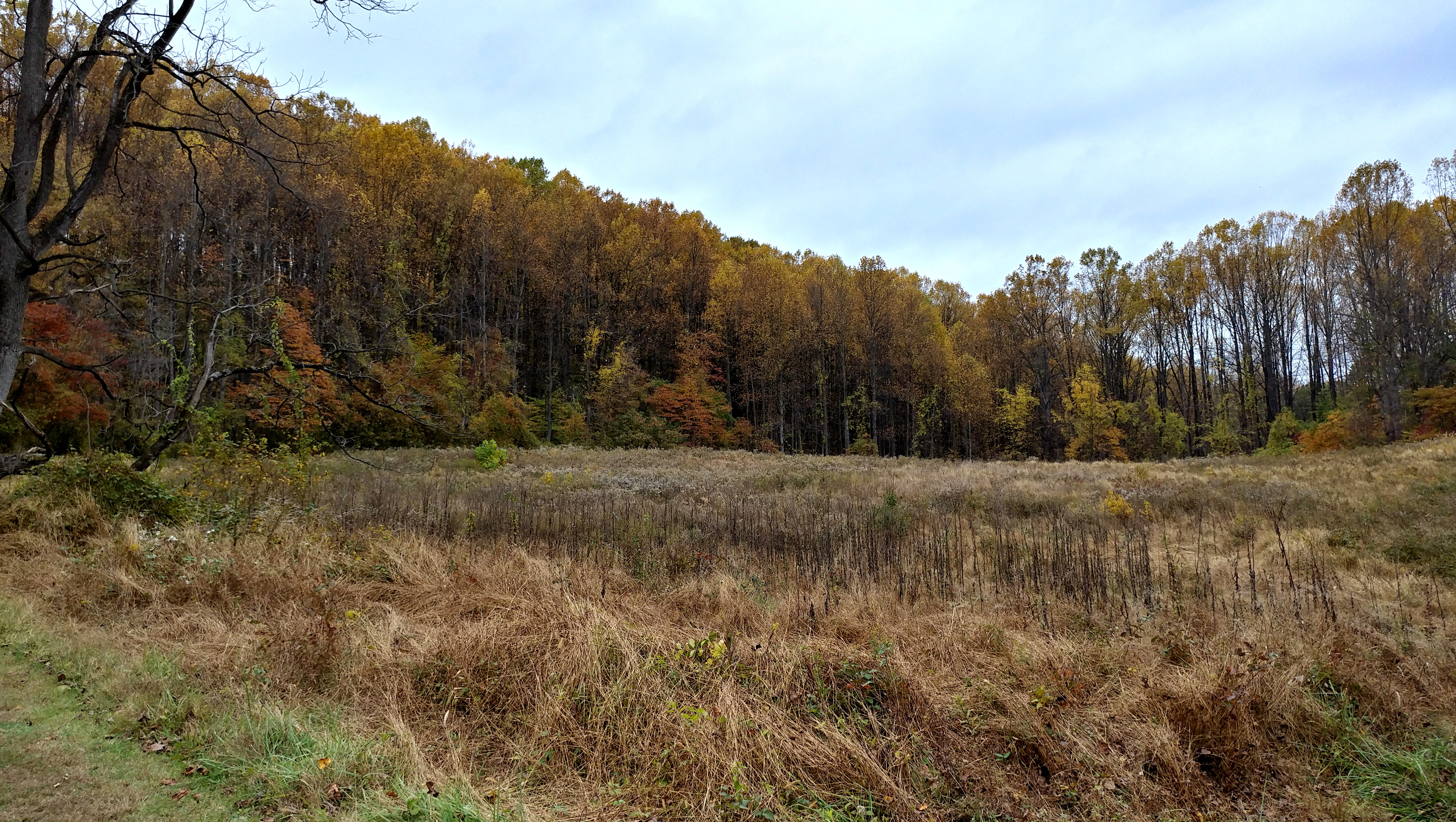 sunday11-3-2019-8ok.jpg