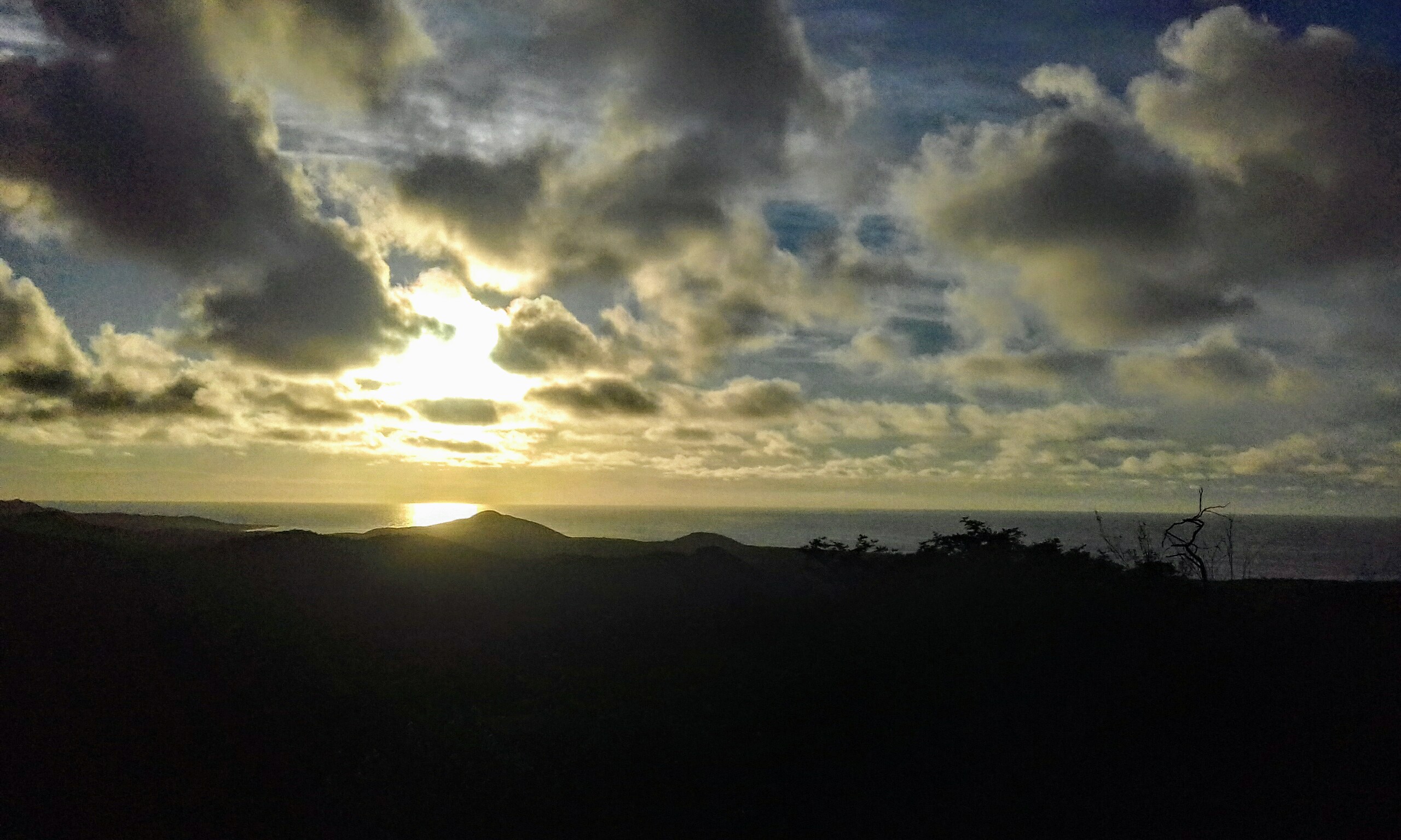 20200707_181601.jpg
