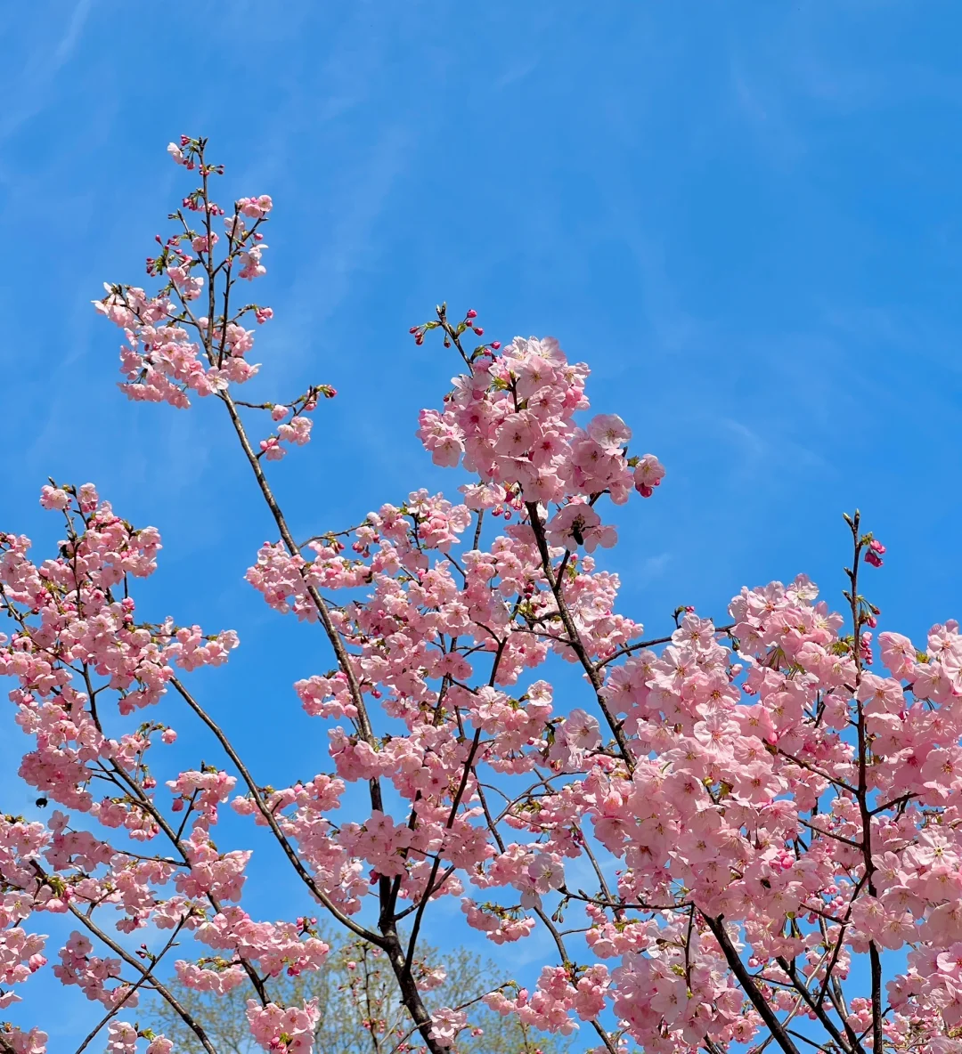 111.webp