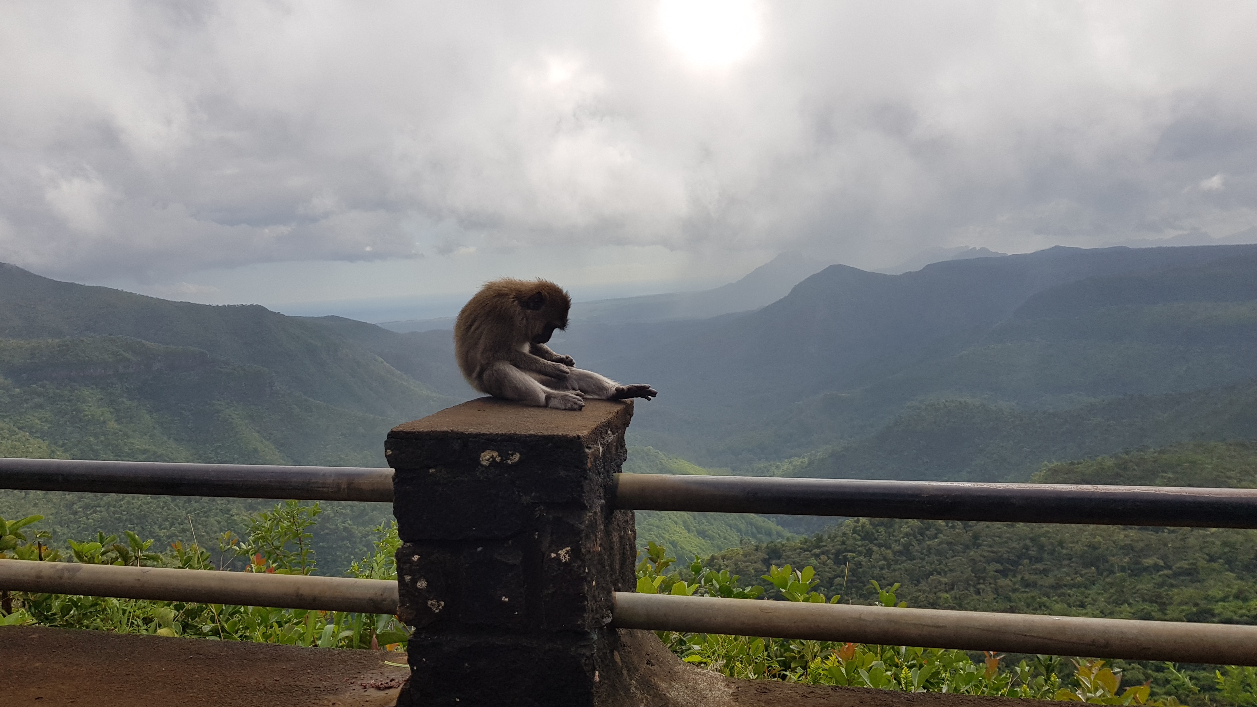 20180623_111747.jpg