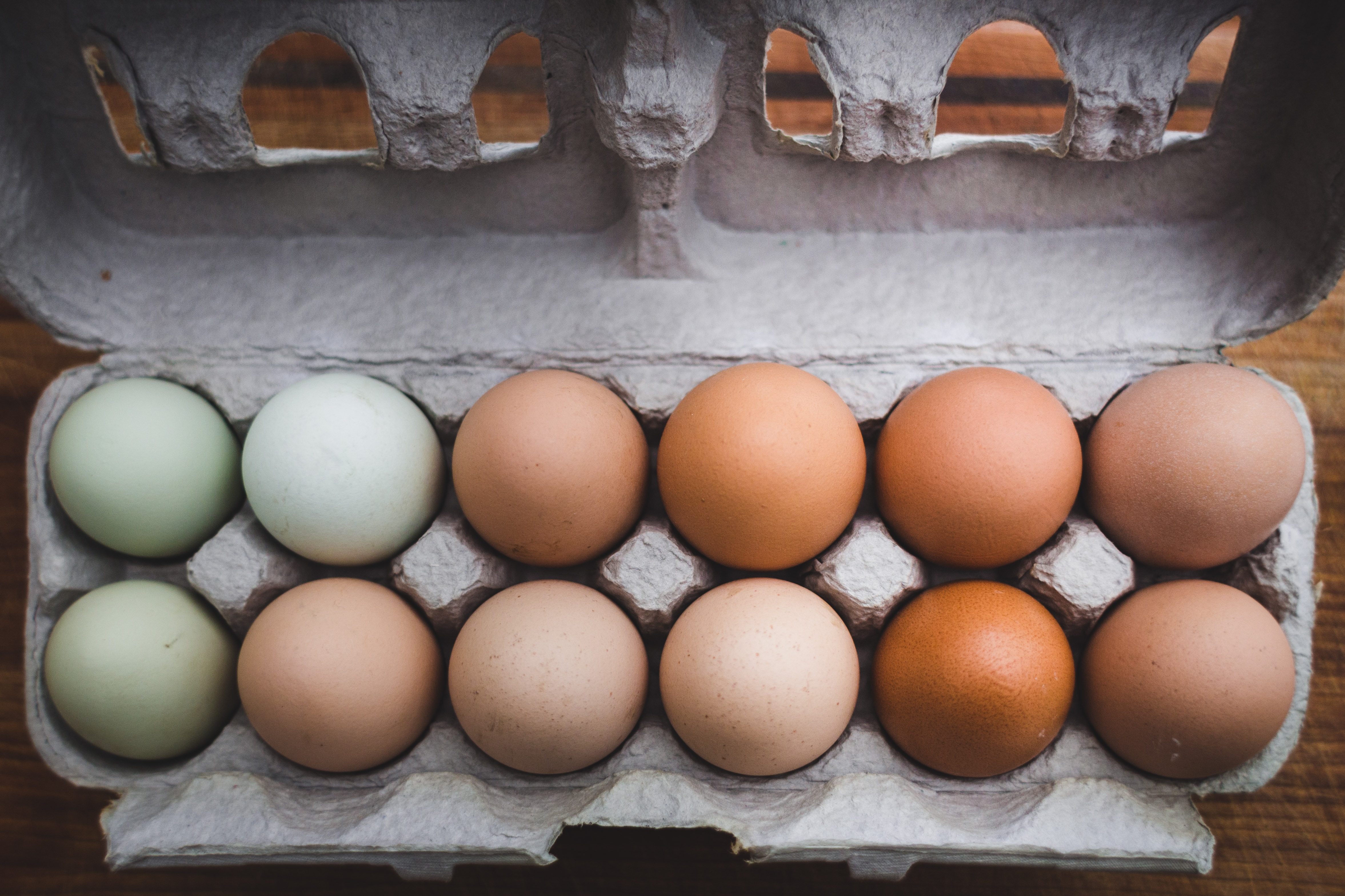 Какие яйца лучше купить. Десяток яиц. Домашние куриные яйца. Яйца разные. Инкубационное яйцо.