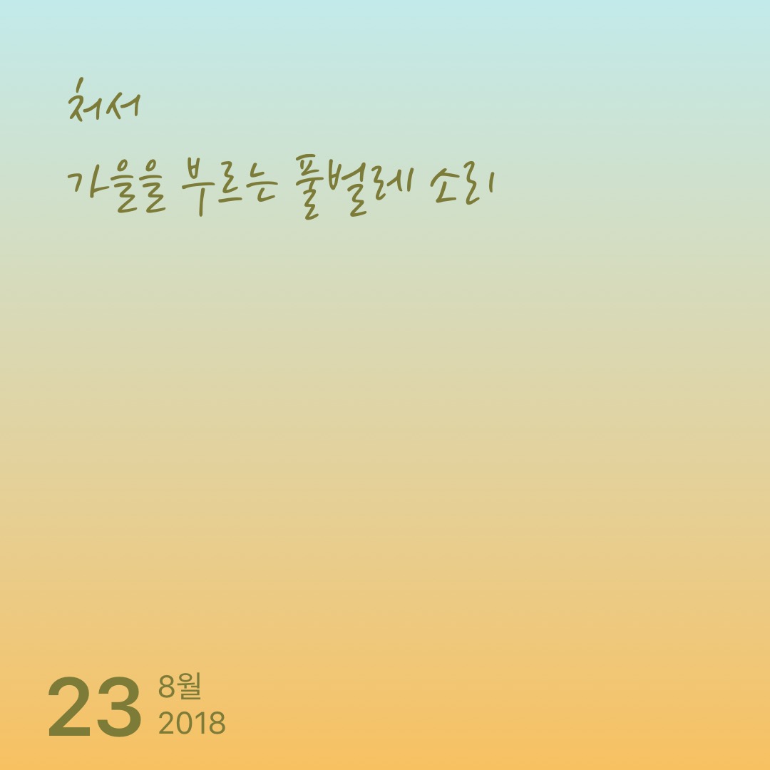 9BD29C90-8700-47C4-A746-0A9A628B9CE2.jpeg