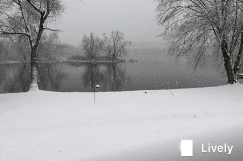 6AB94528-9467-41A3-9D97-E0DCF6FCA064.gif