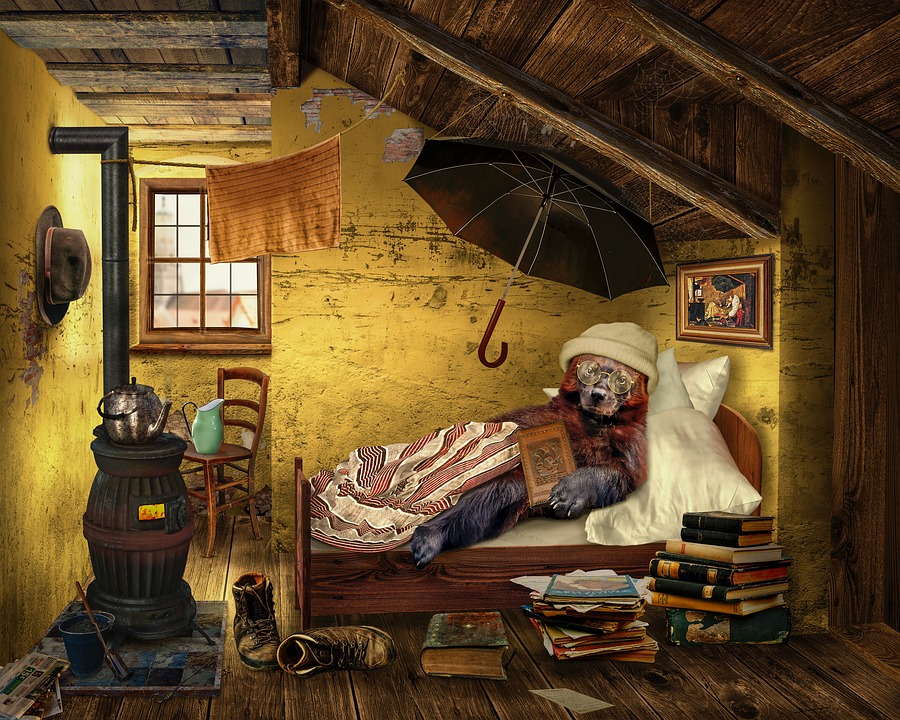 bear in bed pixa.jpg