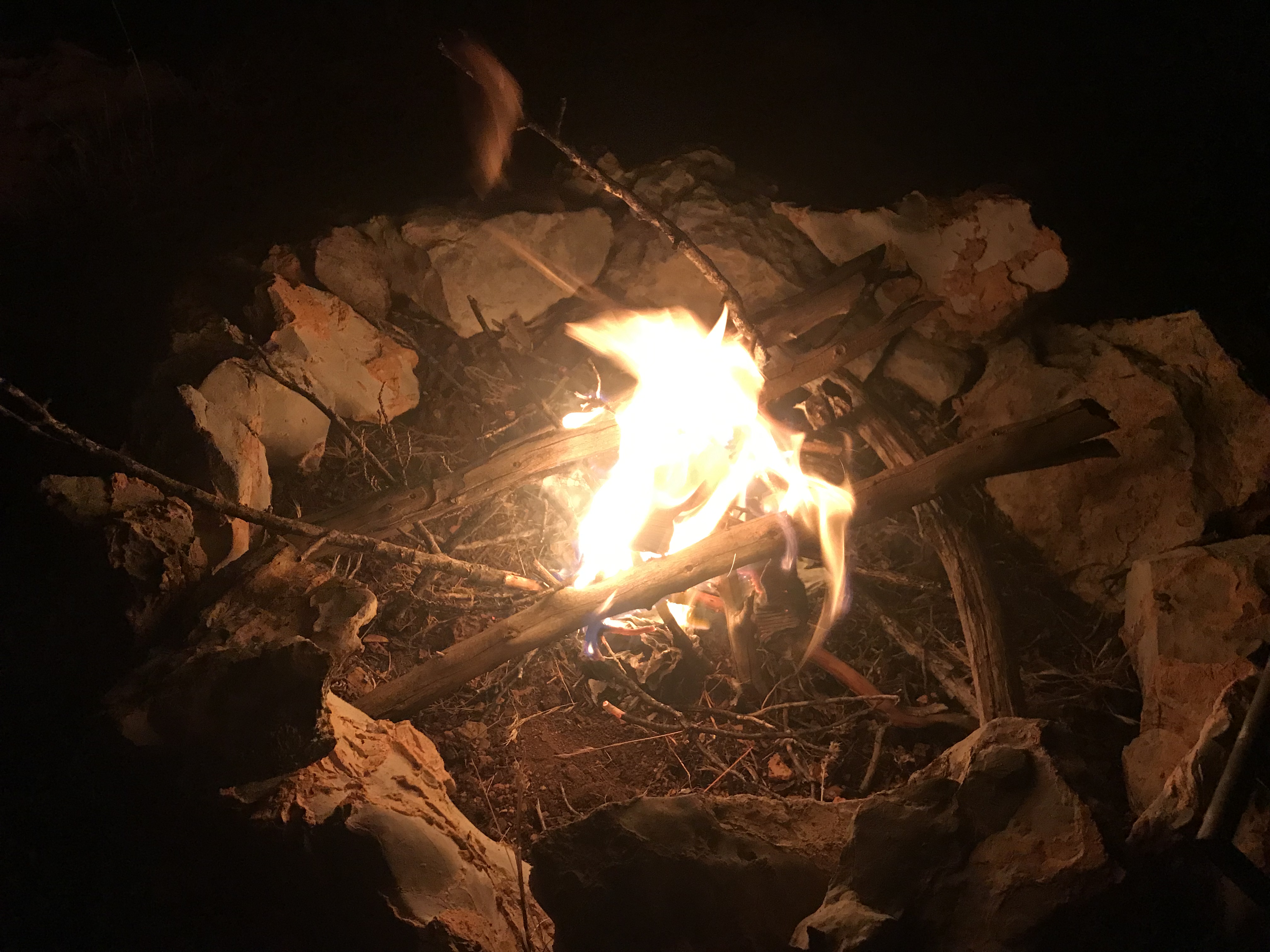 AA586259-8272-46C4-AD4B-B8AF28C9783D.jpeg