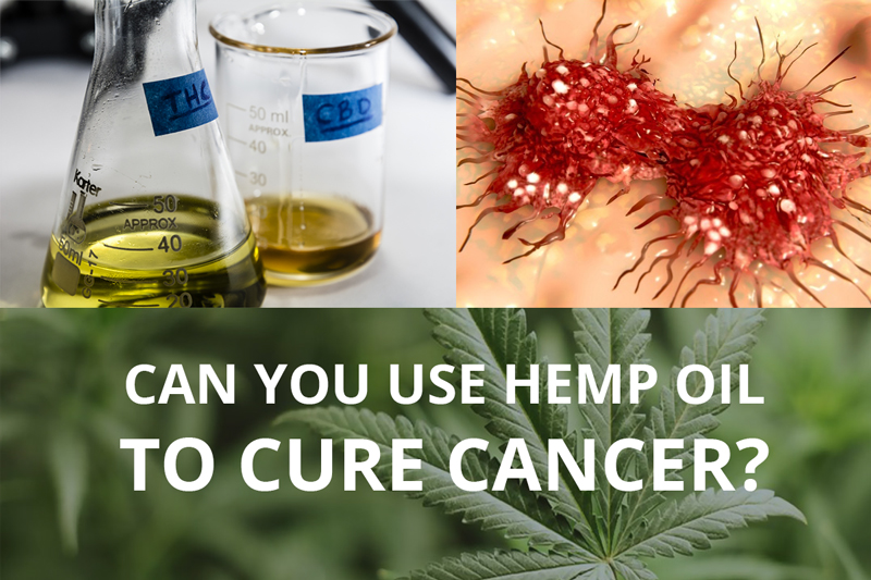 Can-you-use-hemp-oil-to-cure-cancer.jpg