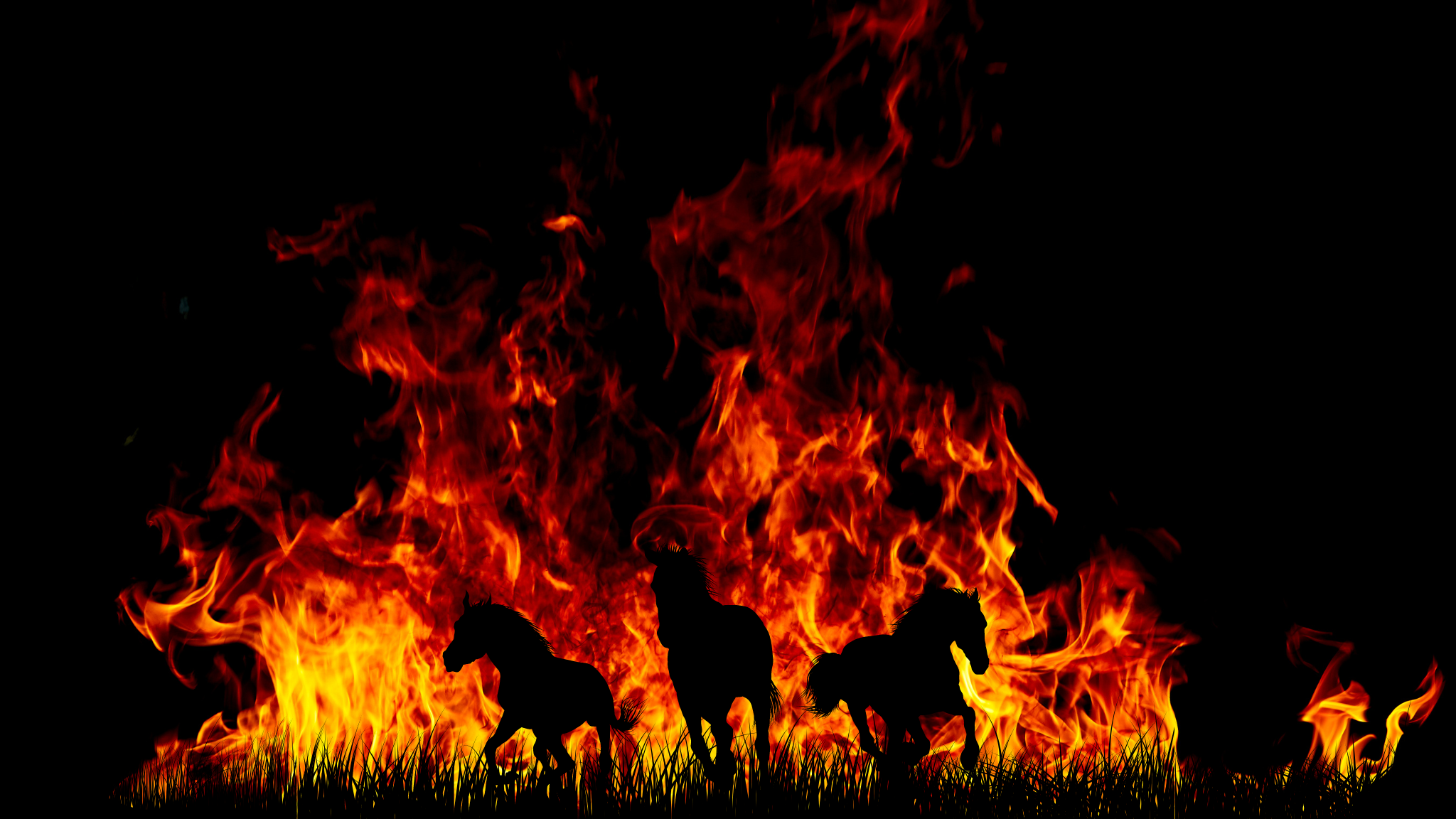 Untitled design (3).png