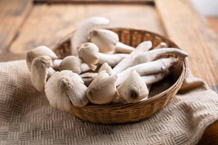 78014439-mushroom-termite-mushroom-on-wooden-background-.jpg