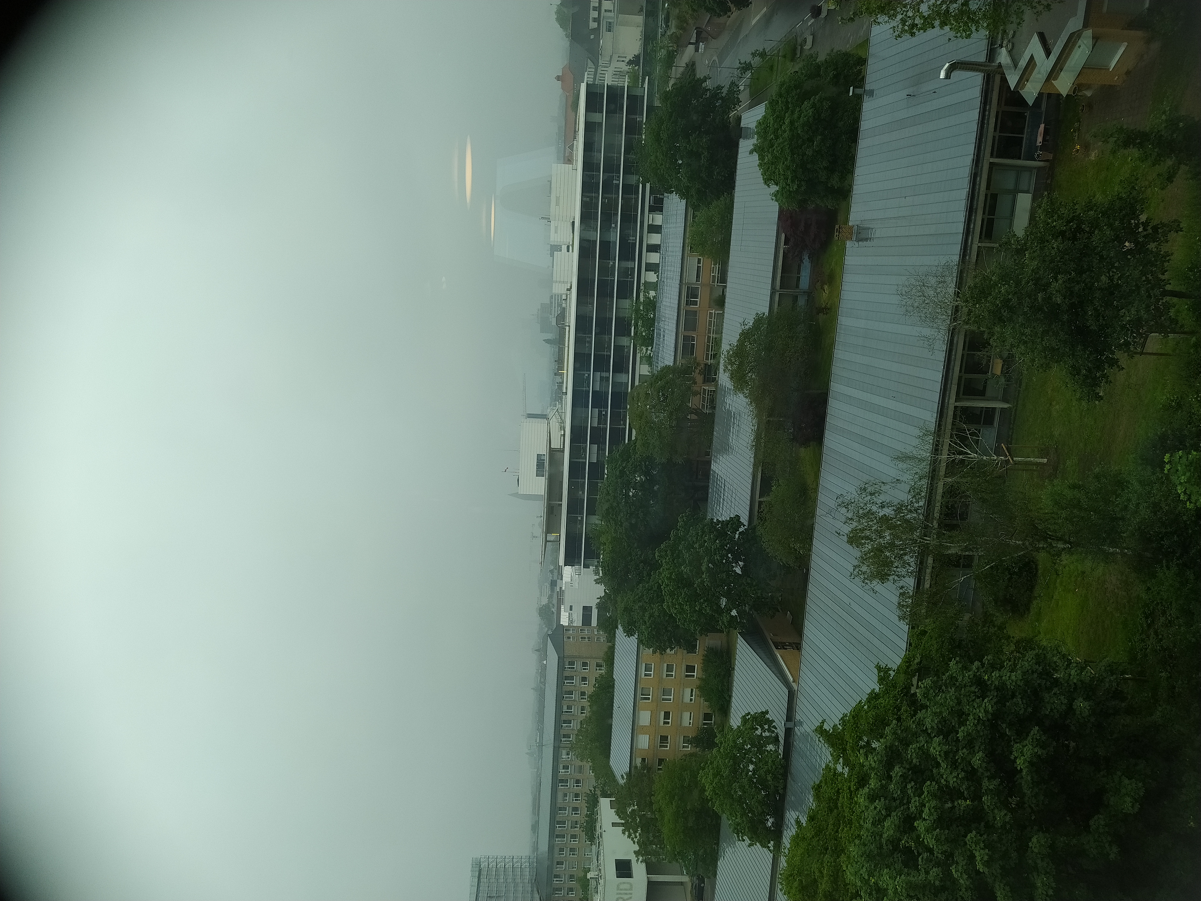 IMG_20210605_171233.jpg