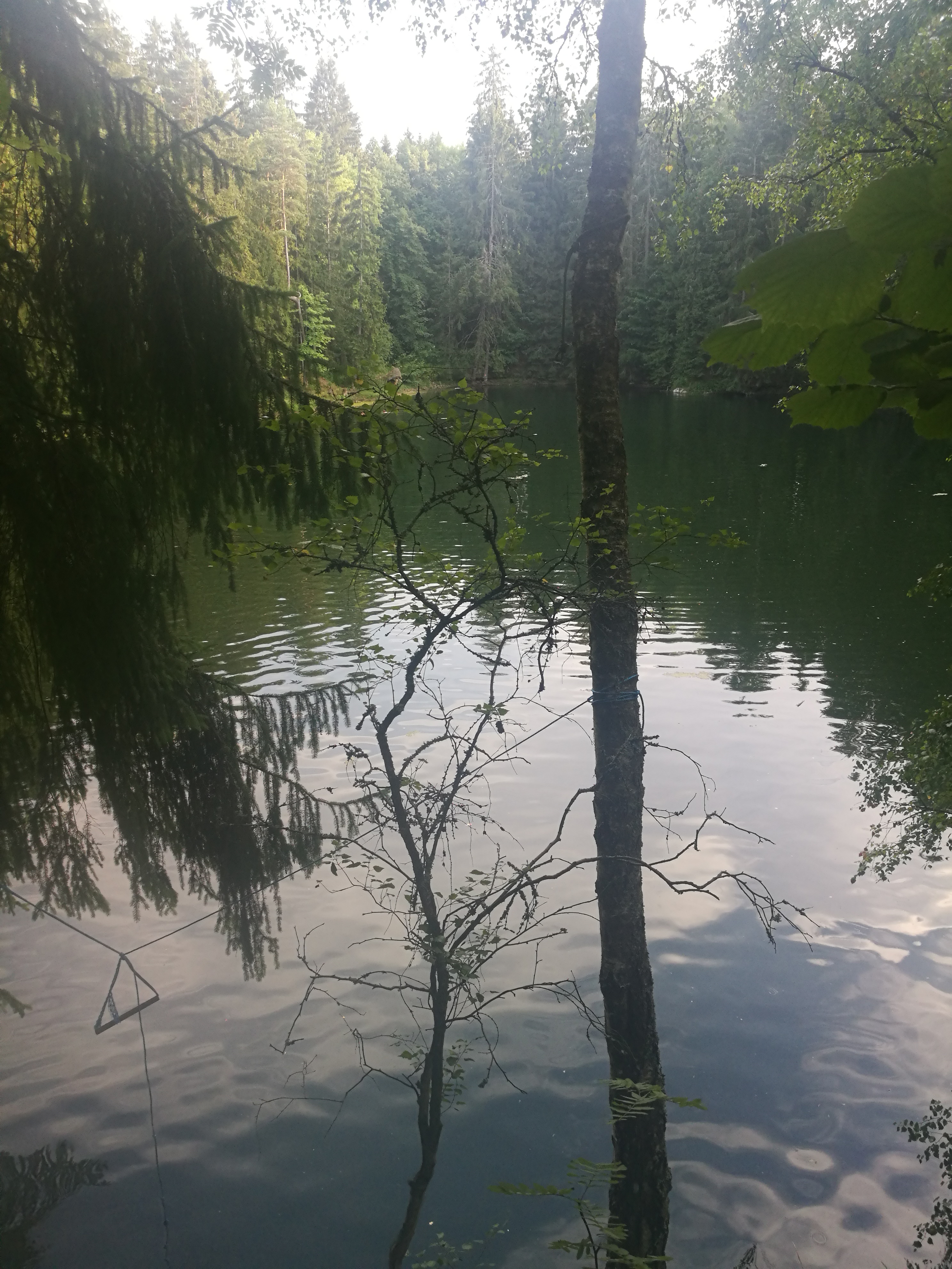 IMG_20180802_182548.jpg
