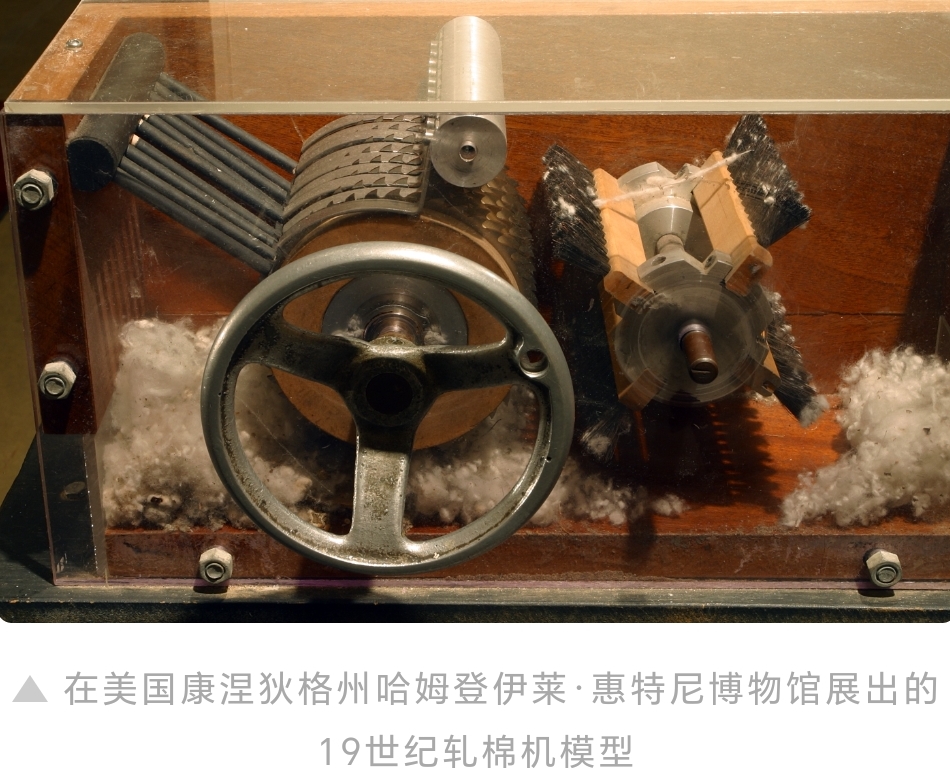 Screenshot_20240811_232837_com.allhistory.dls.marble.jpg