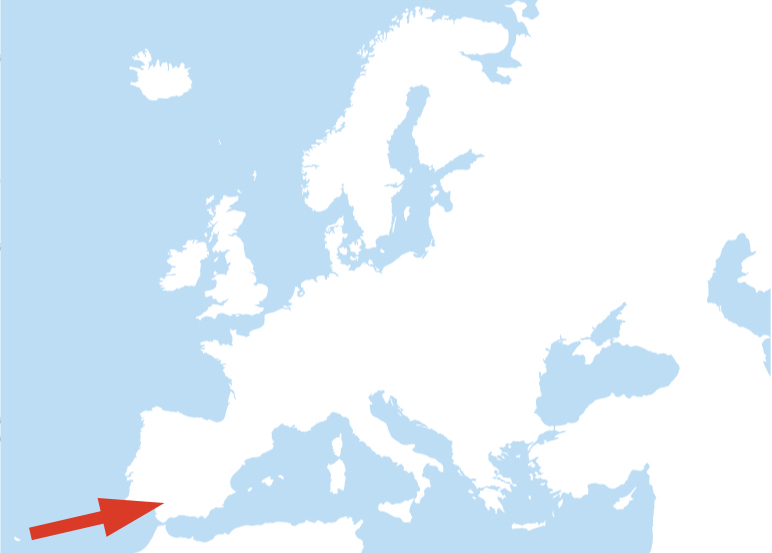 europe.jpeg