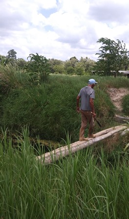 20190421_112252_Burst01.jpg