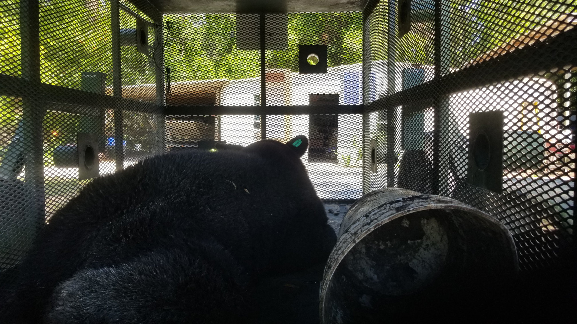 20180504_123919.jpg