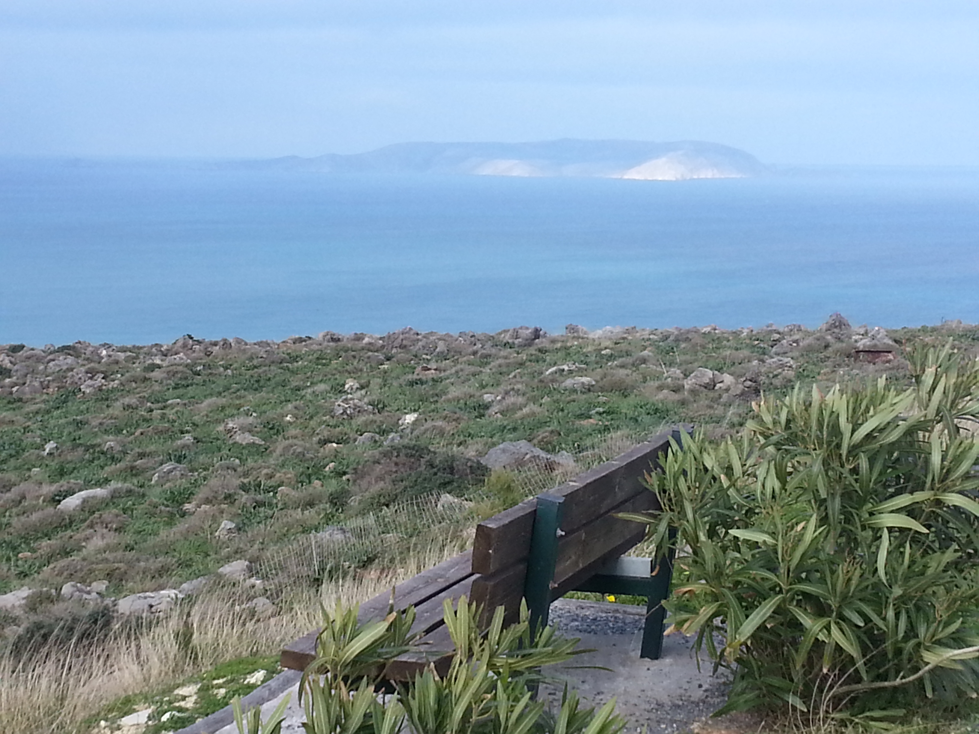 20150125_130756 (1).jpg