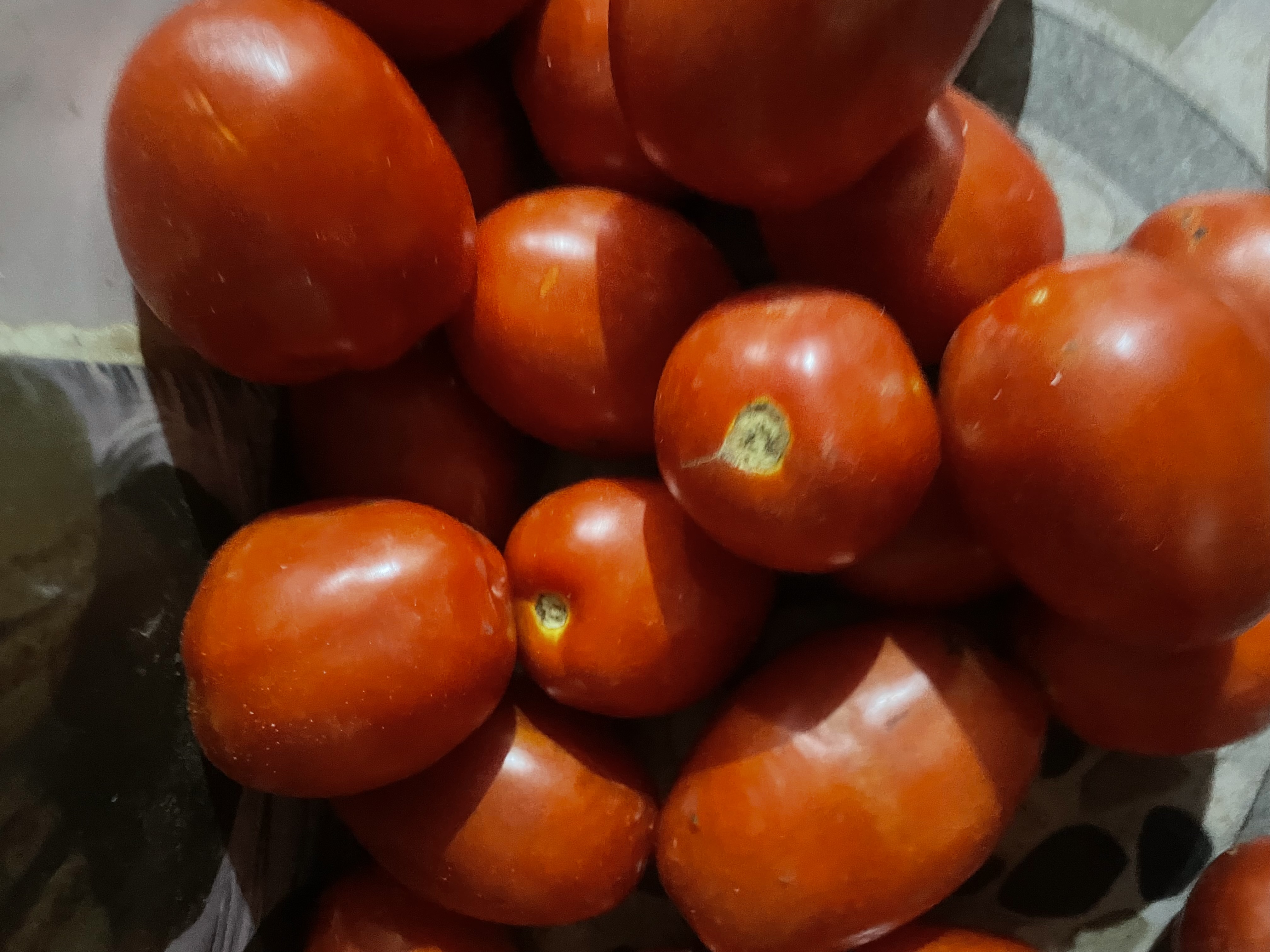 IMG_9059.jpeg