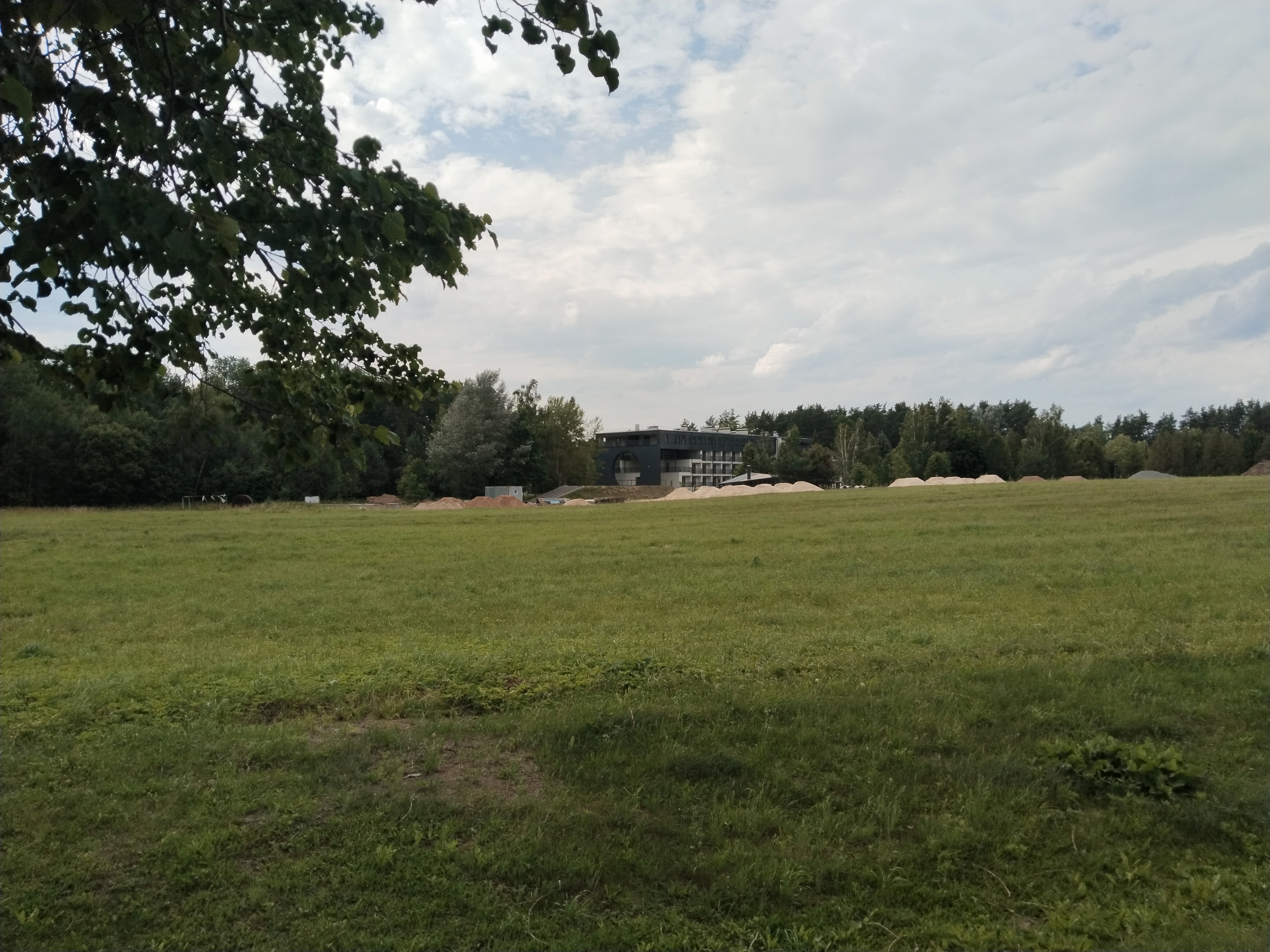 IMG_20250706_170723.jpg
