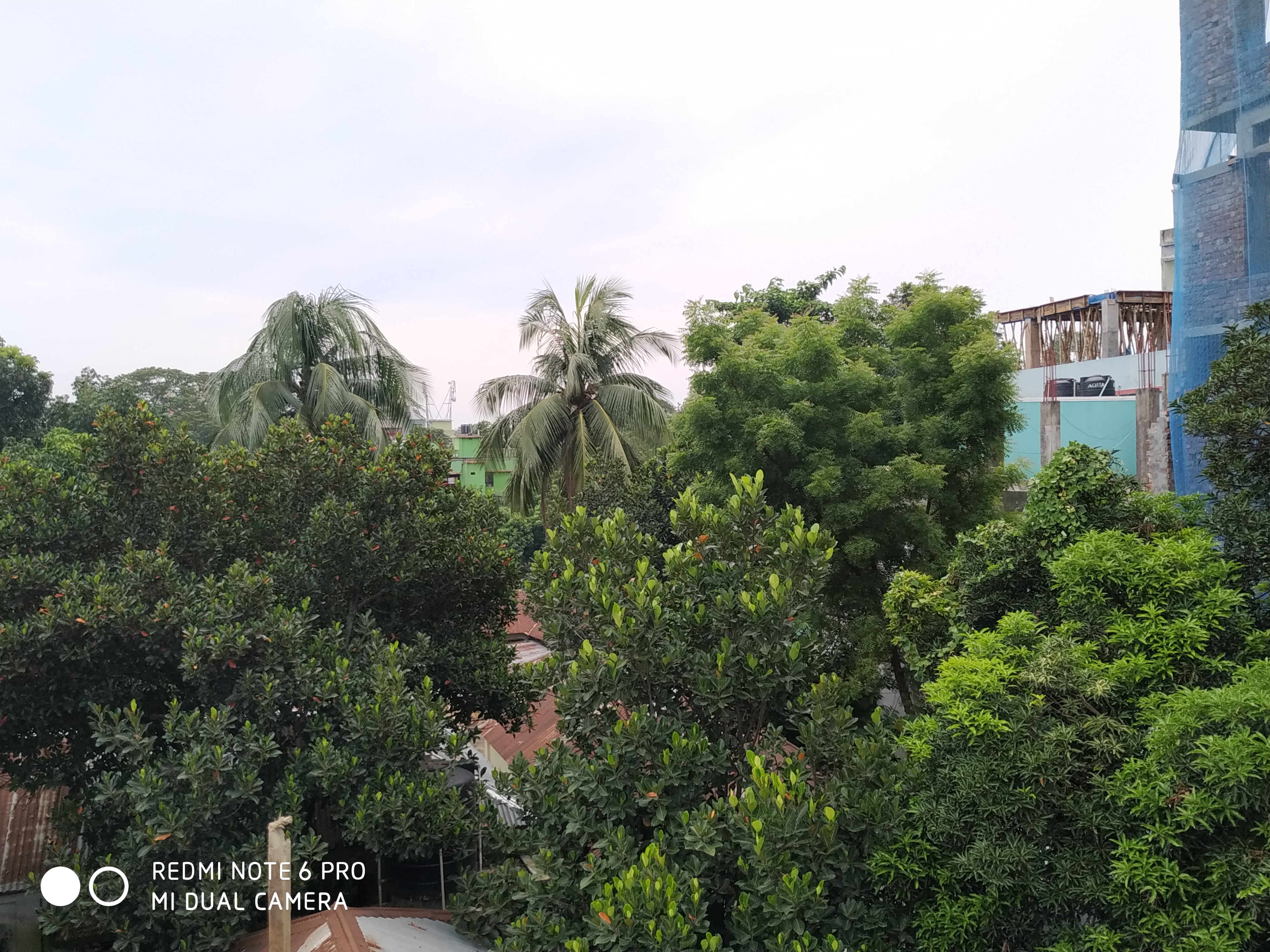 IMG_20190723_180139.jpg