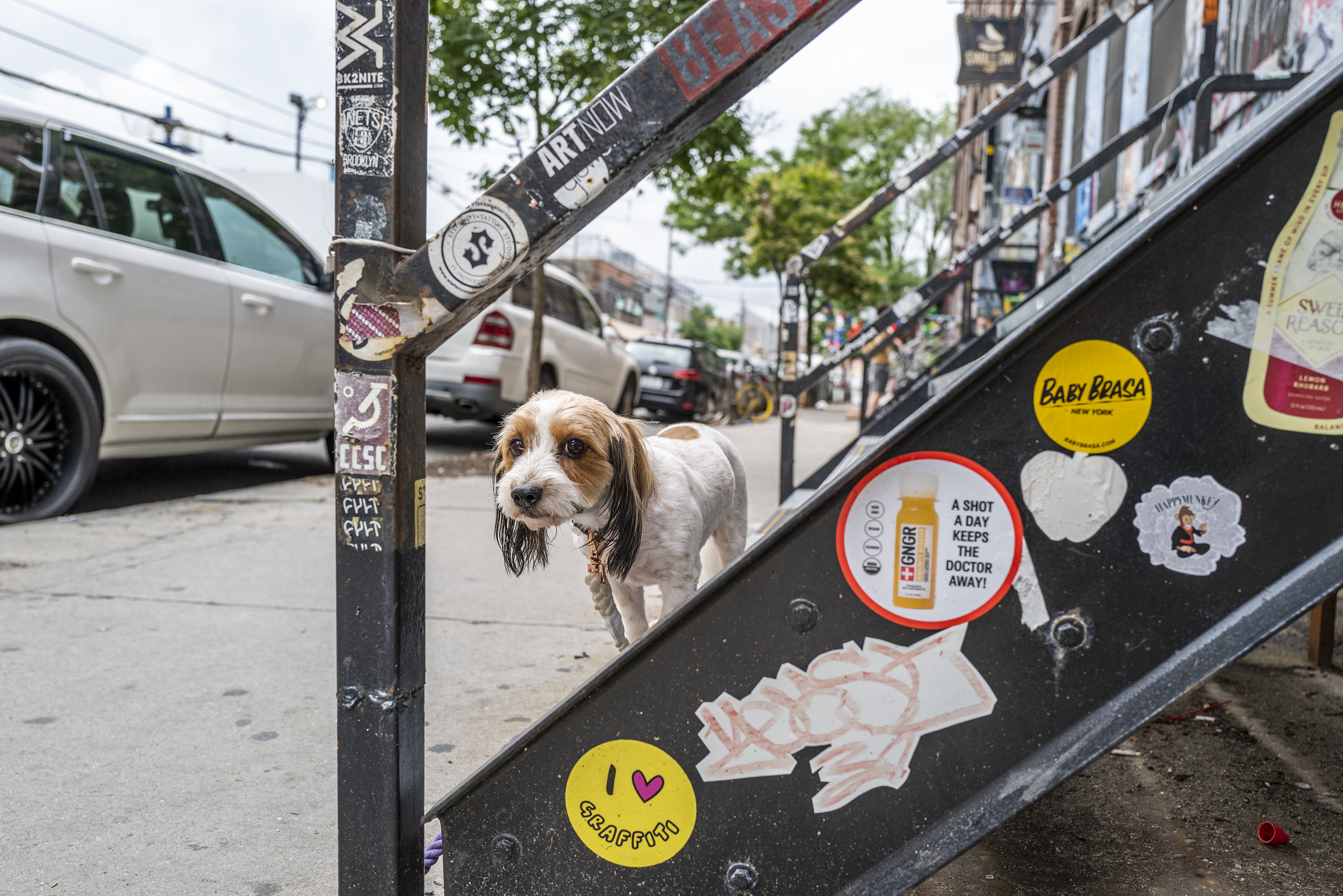 bushwick026.jpg