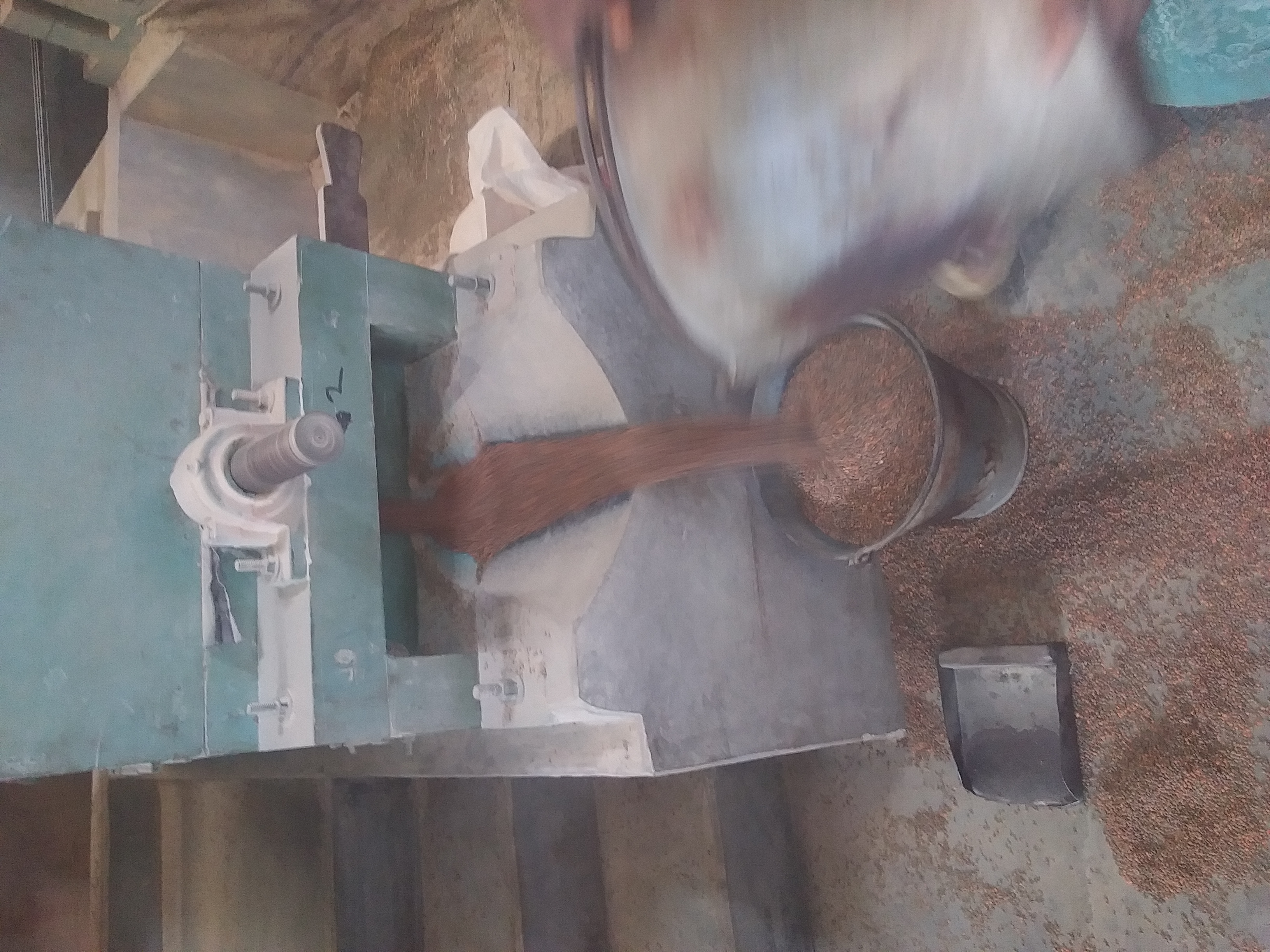 20230527_143700.jpg