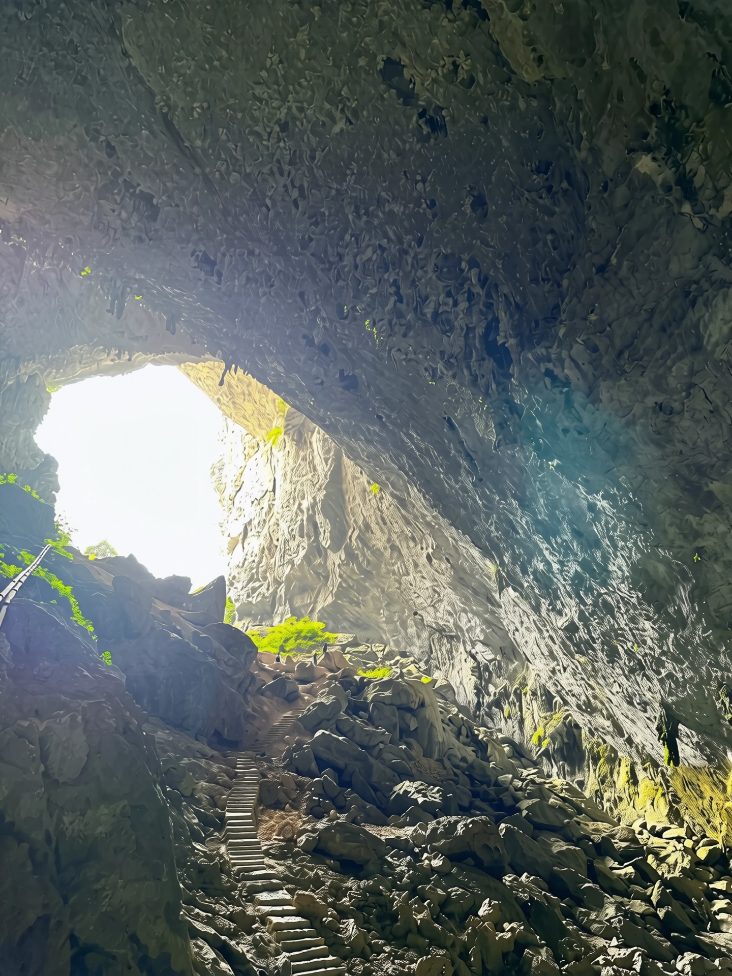 261.webp