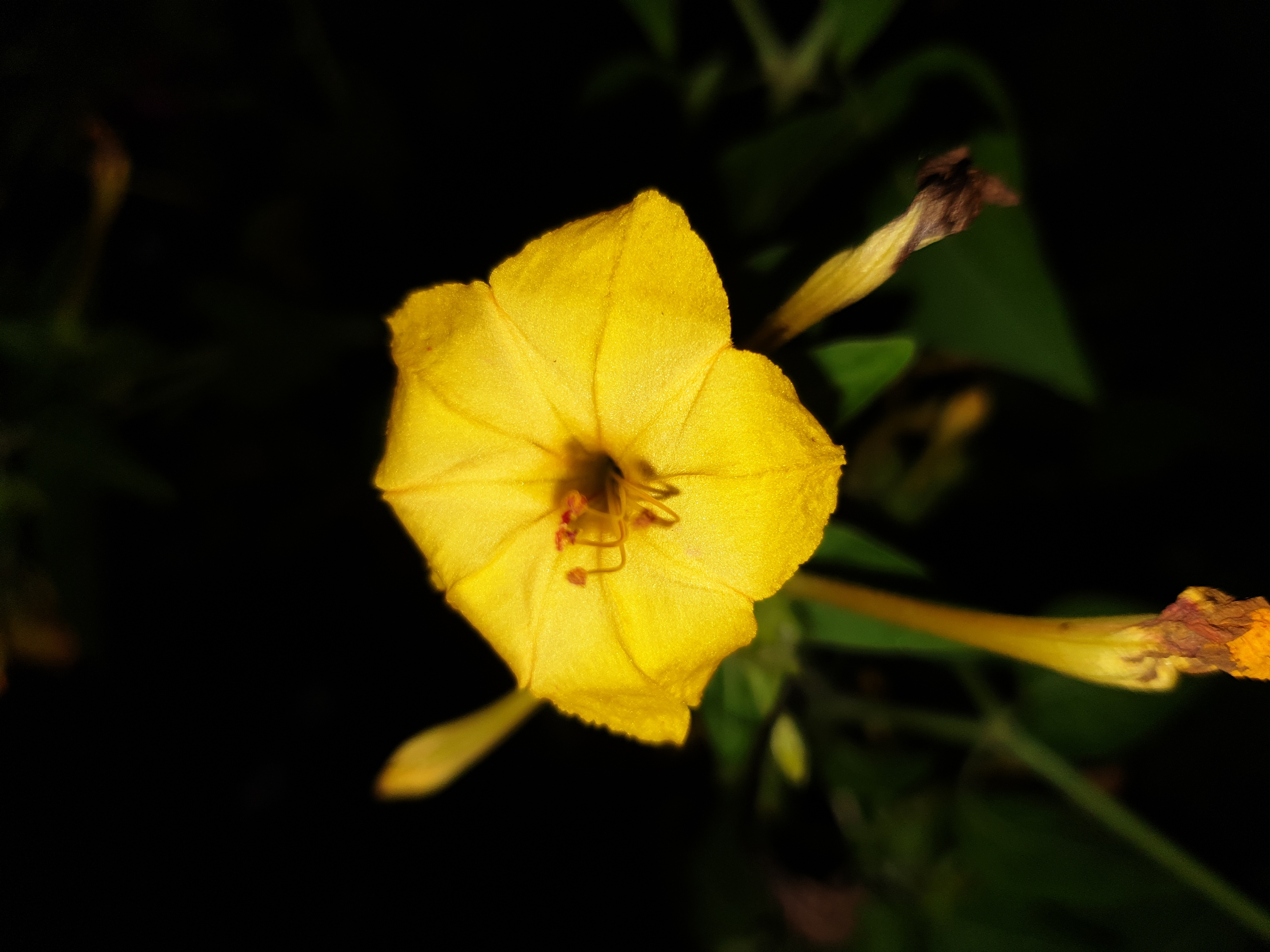 20220918_213848.jpg