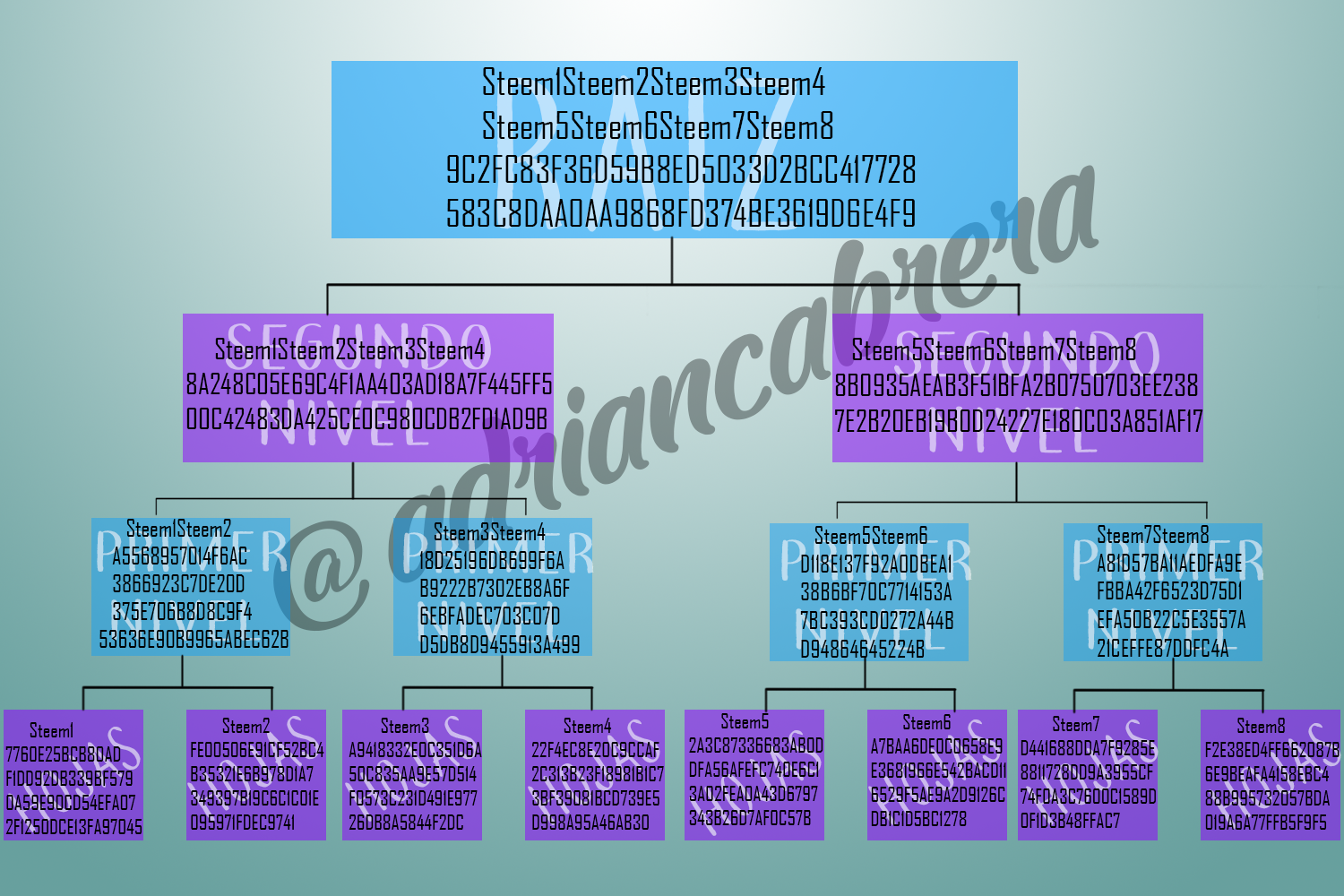 Arbol-Markle-1-Adrian-cabrera.png