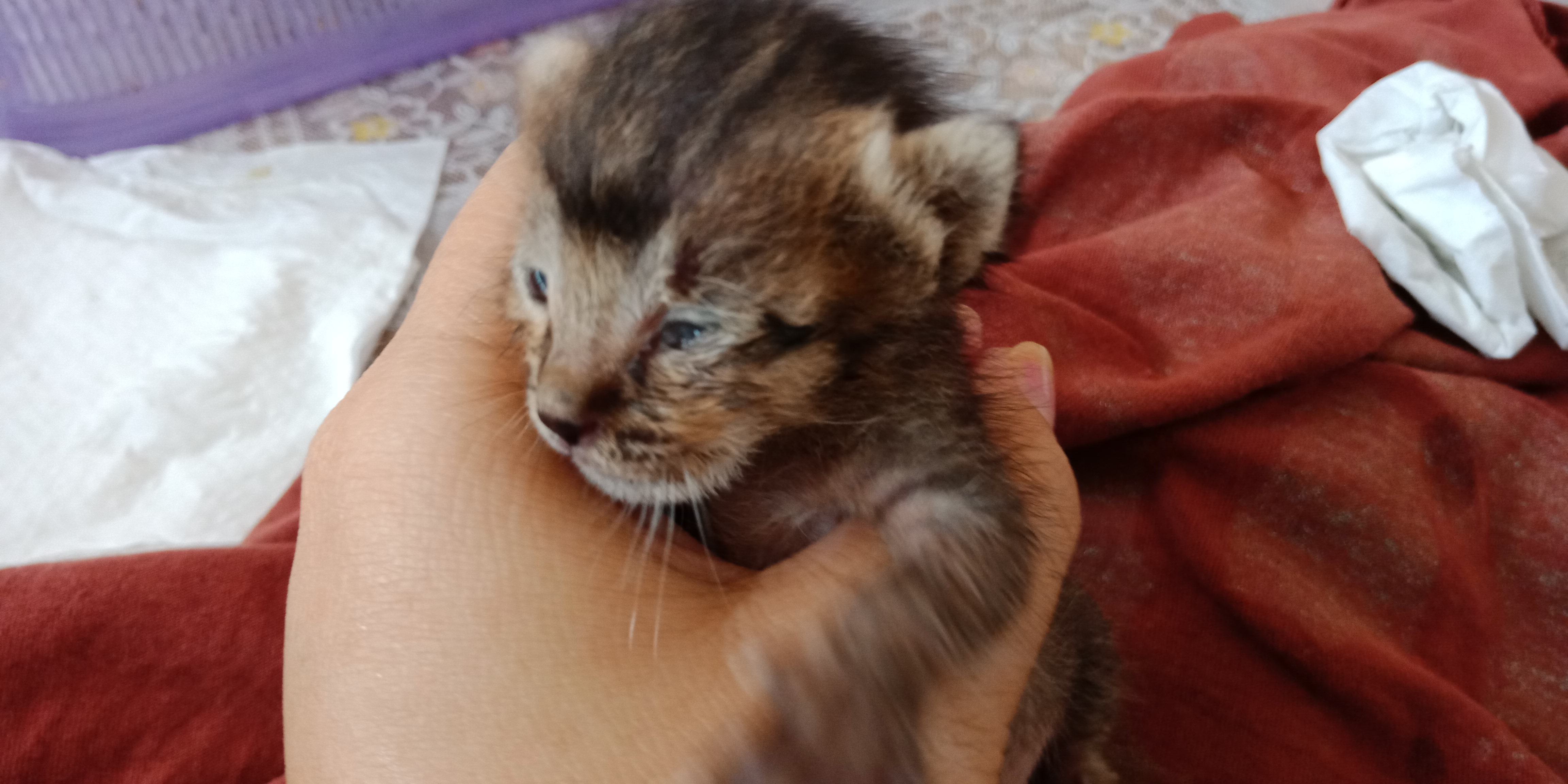 IMG-20190323-WA0012.jpeg
