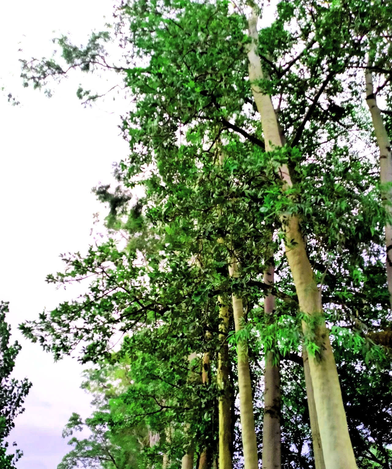 PicsArt_02-05-10.49.15.jpg