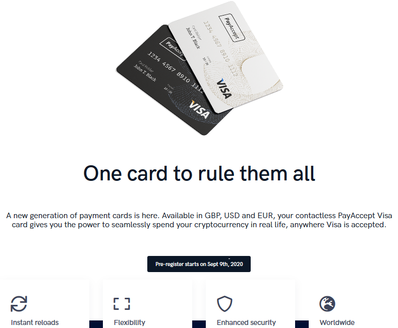 Screenshot_2020-07-13 PayAccept - Currency and wallet payments accepted in seconds(7).png