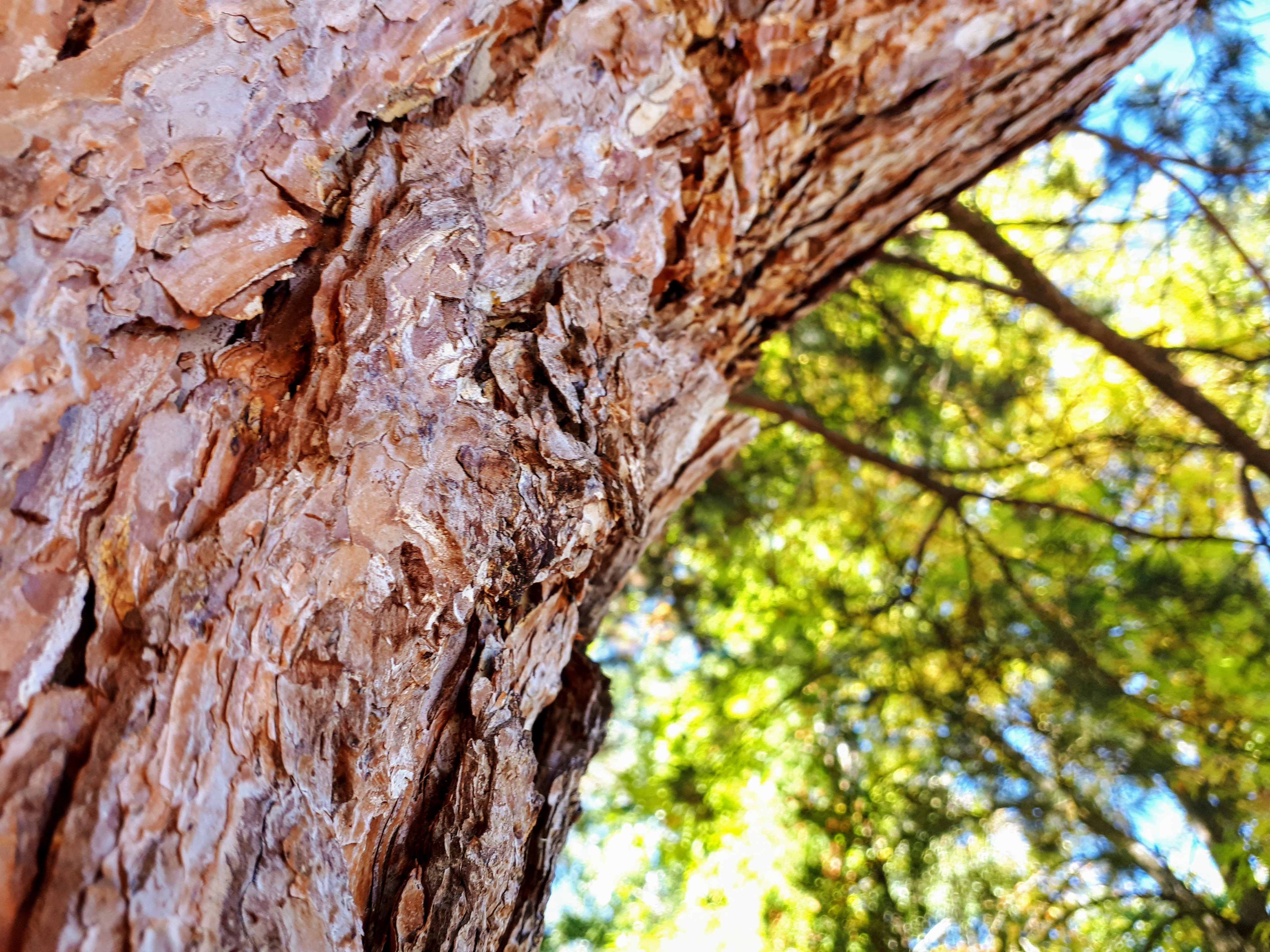 20191009_103926.jpg