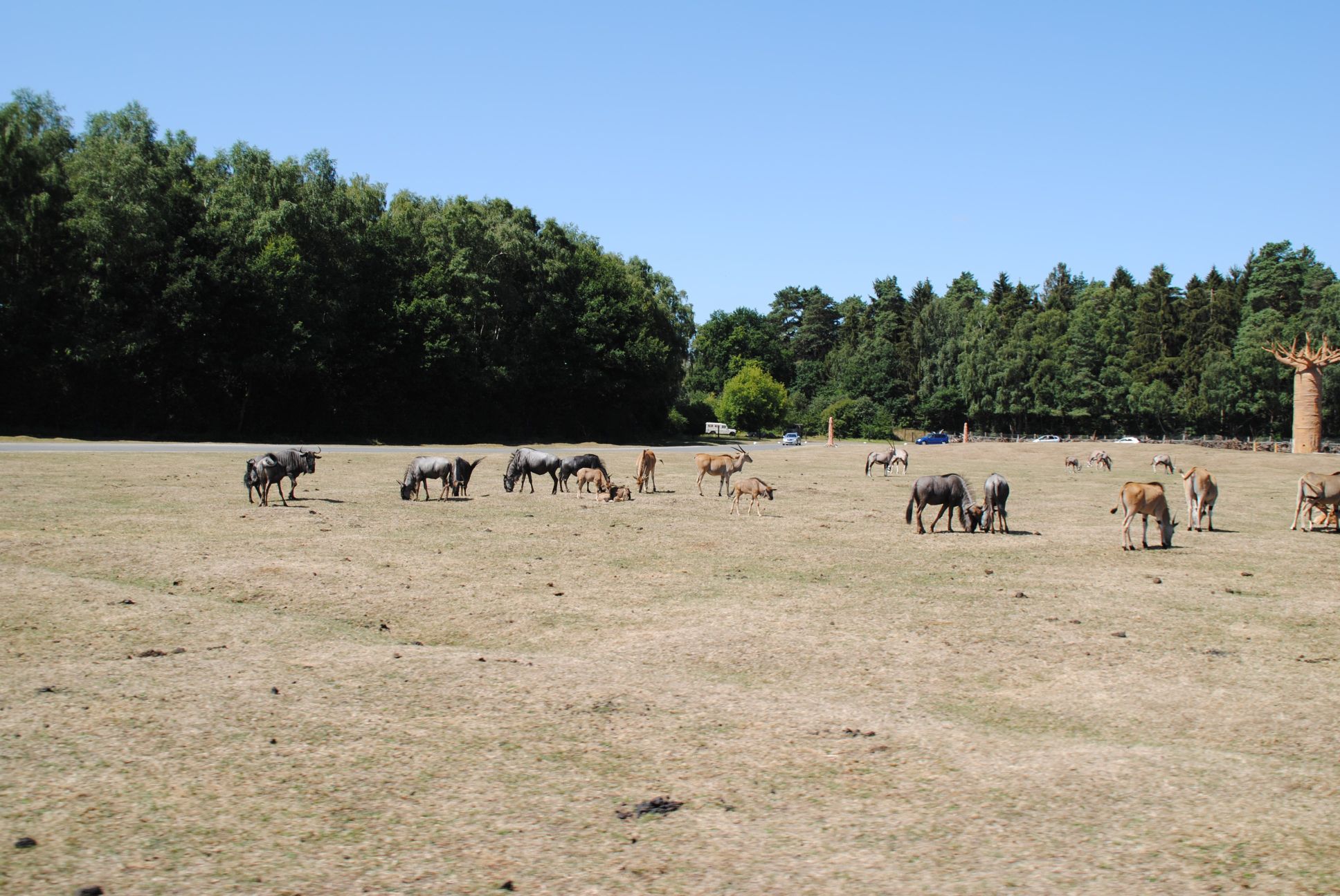 image091.jpg