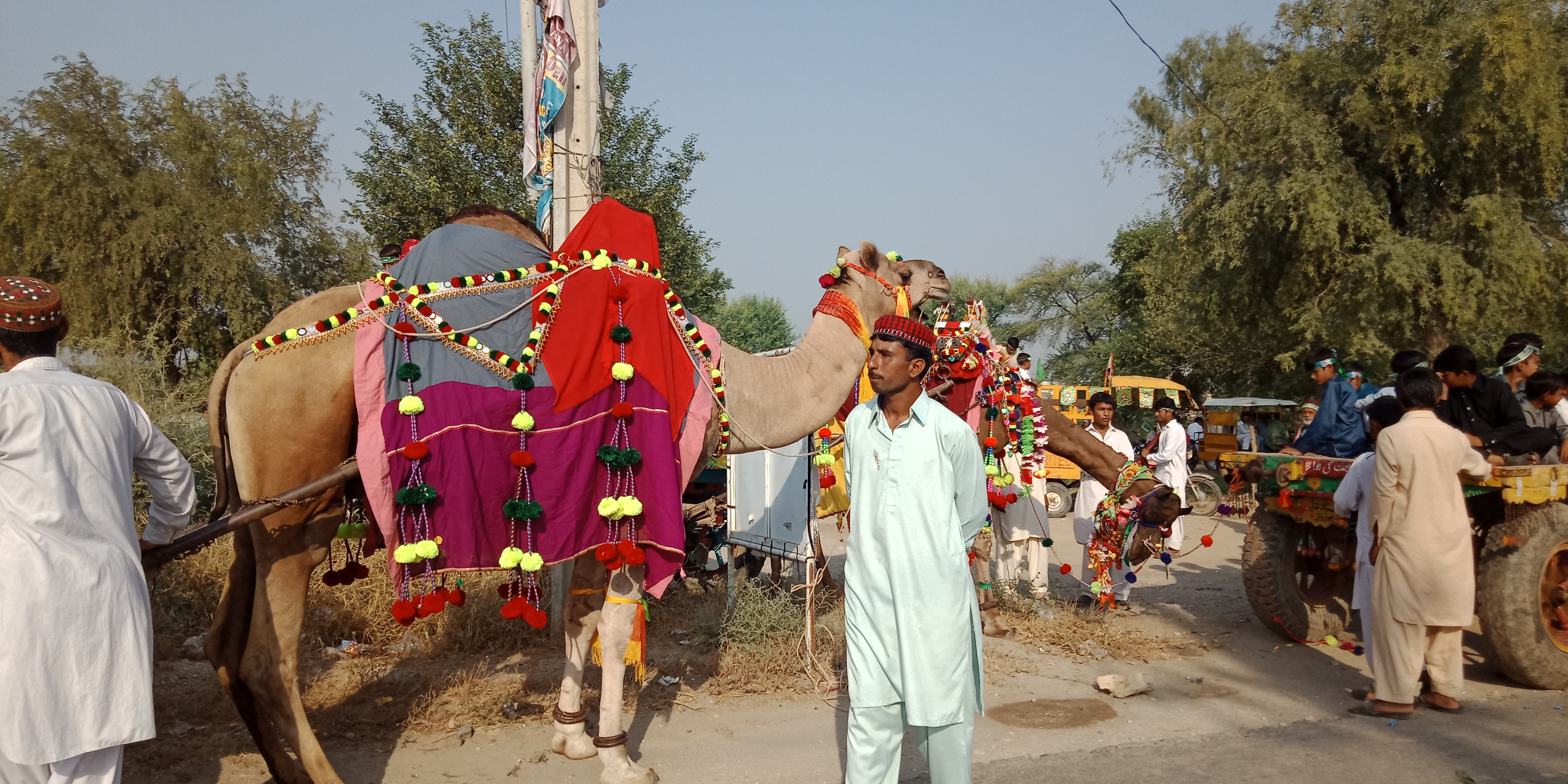 IMG20221009083701.jpg