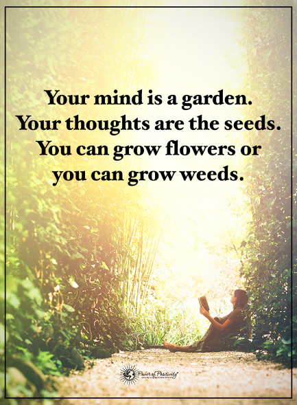 your mind is a garden.png