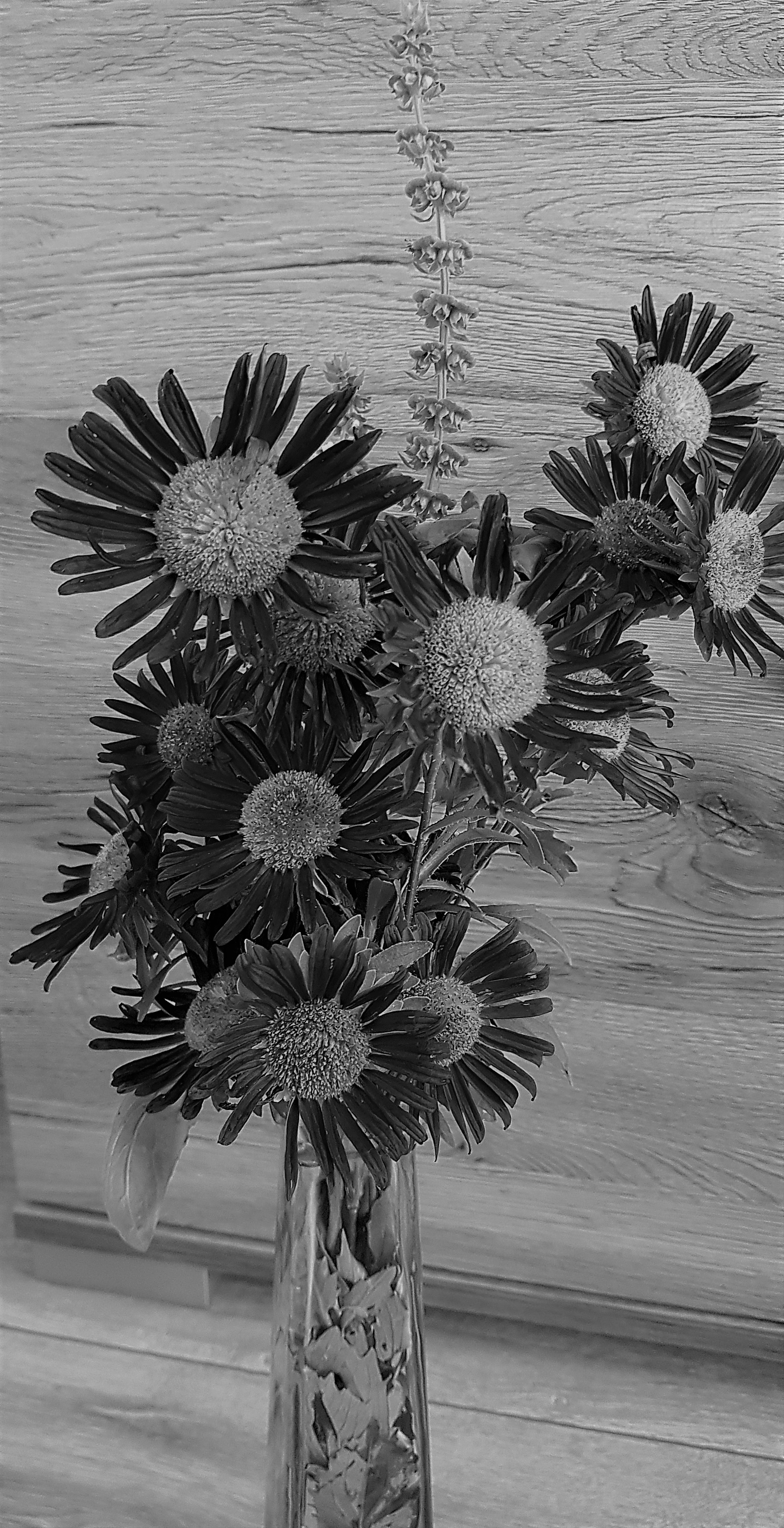 20180918_170246.jpg